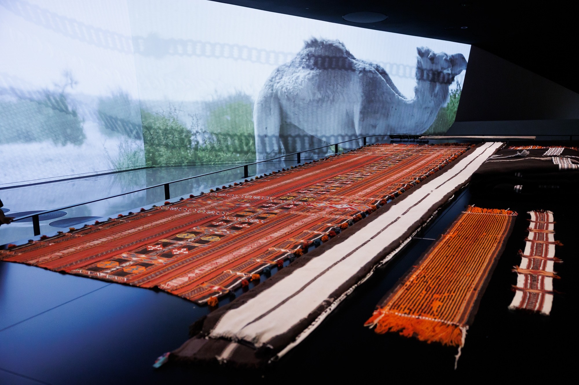 Корпоративный выезд в Qatar. Фотограф Дмитрий Елисеев