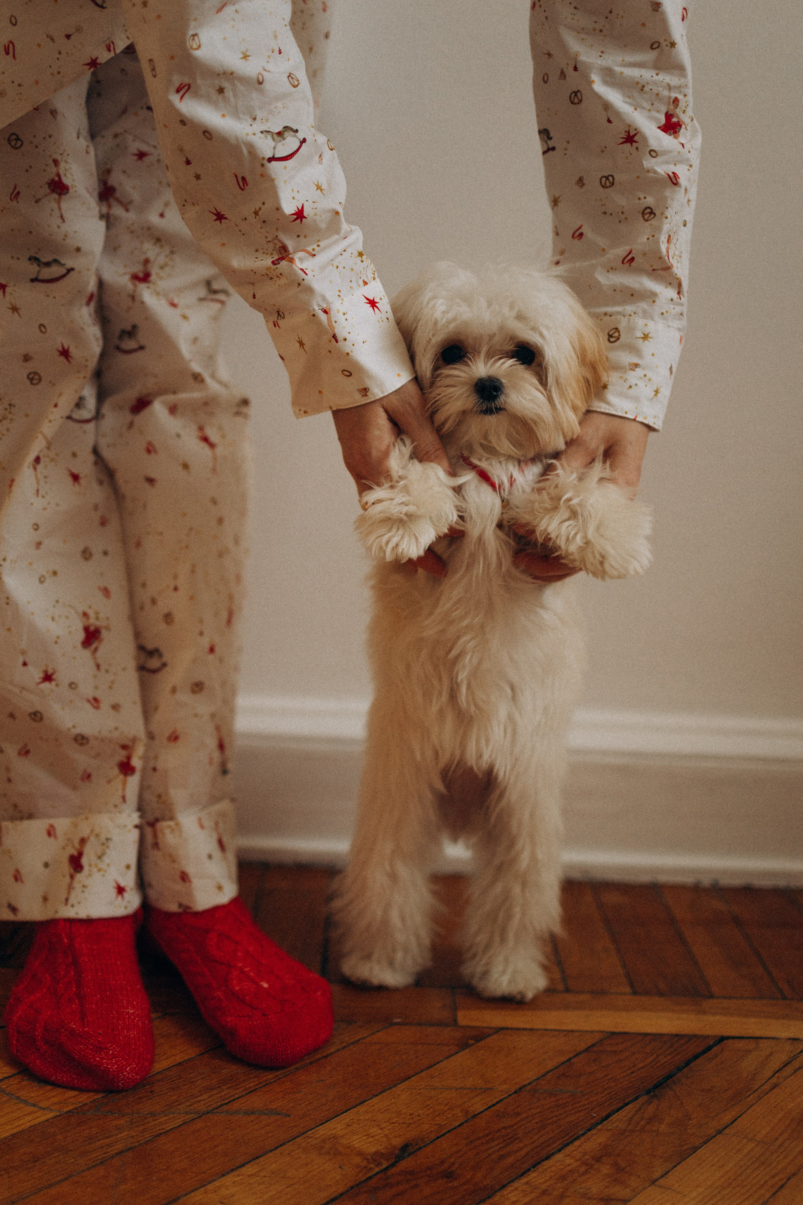 Оля и Бри. Фотораф — анималист Мария Шистка