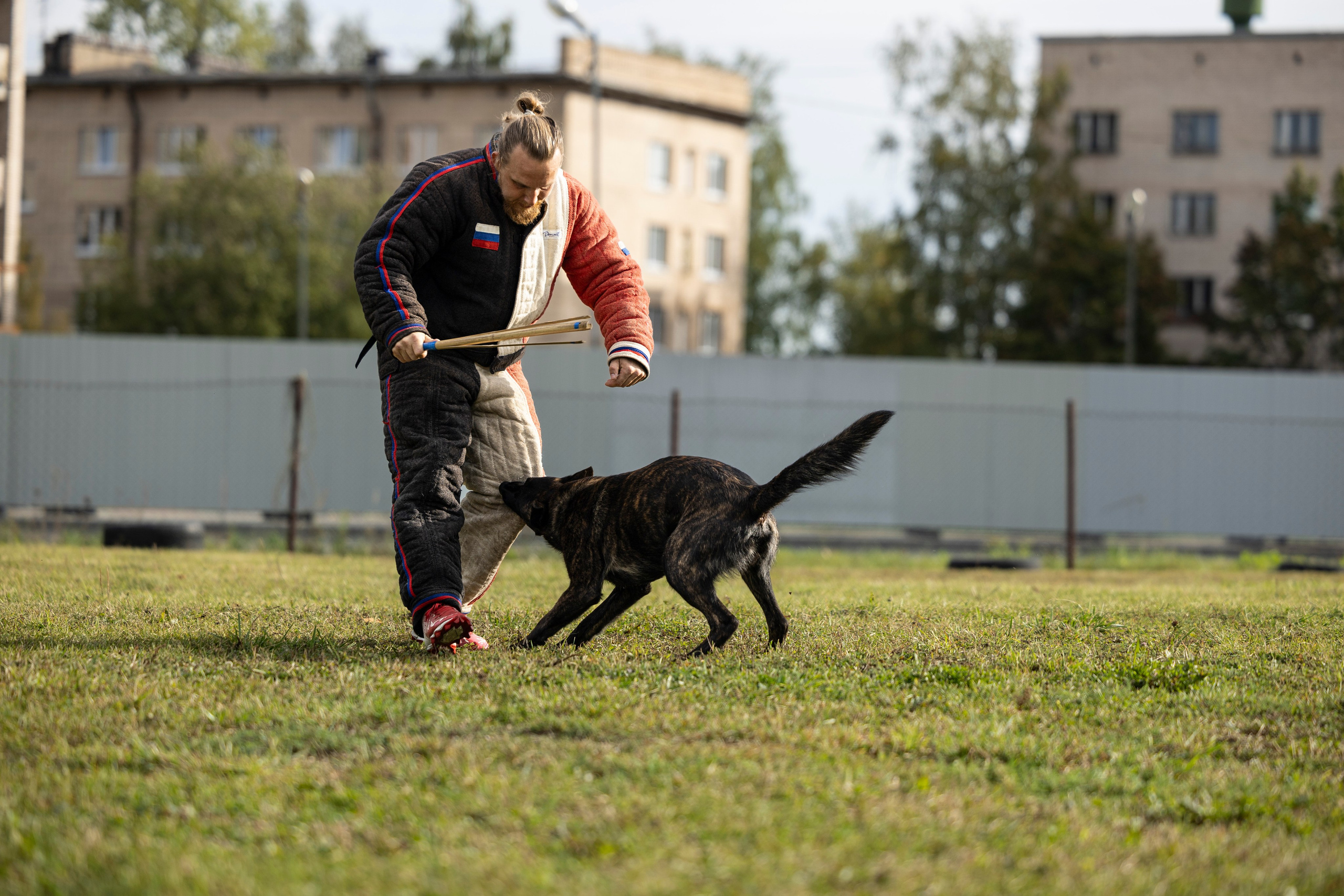 Испытания по Мондьорингу г. Пушкин. Фотограф-анималист Анна Маринич