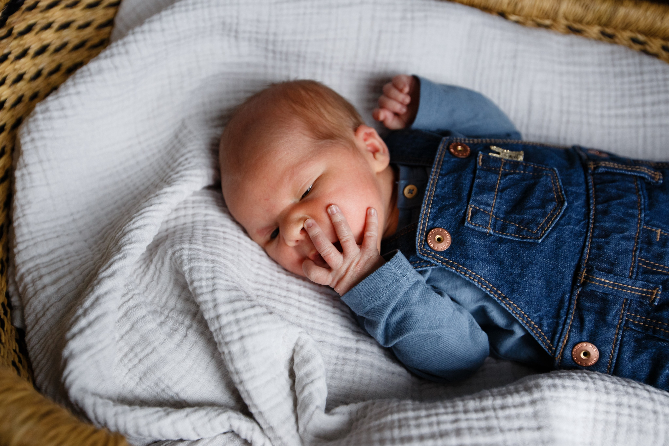 Даня. Семейный фотограф Фрязино Зрячева Кристина