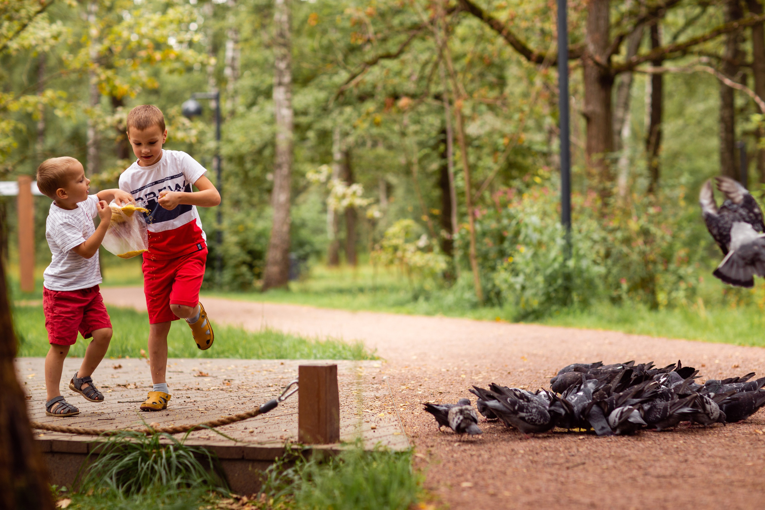 Семейная прогулка в парке. Семейный фотограф Фрязино Зрячева Кристина