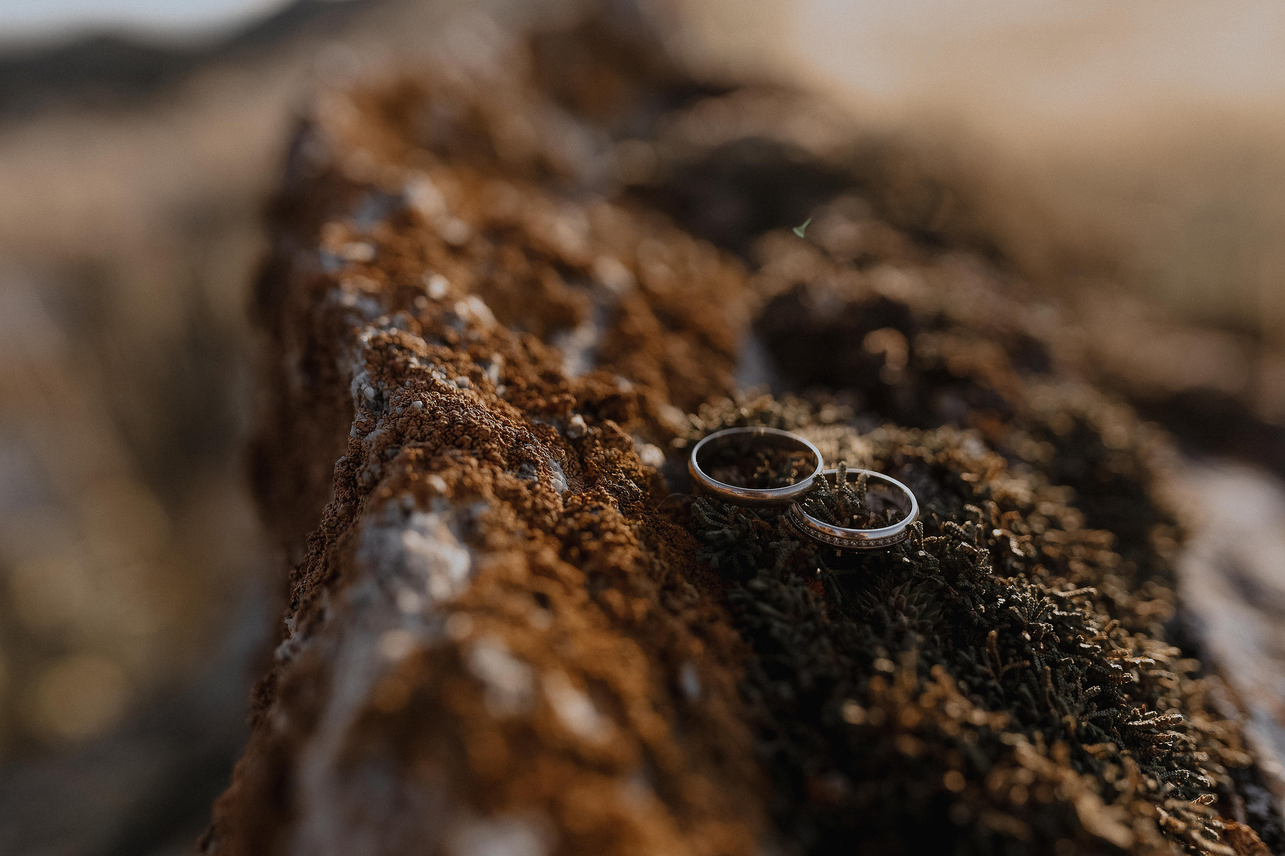 Свадьбы | love story