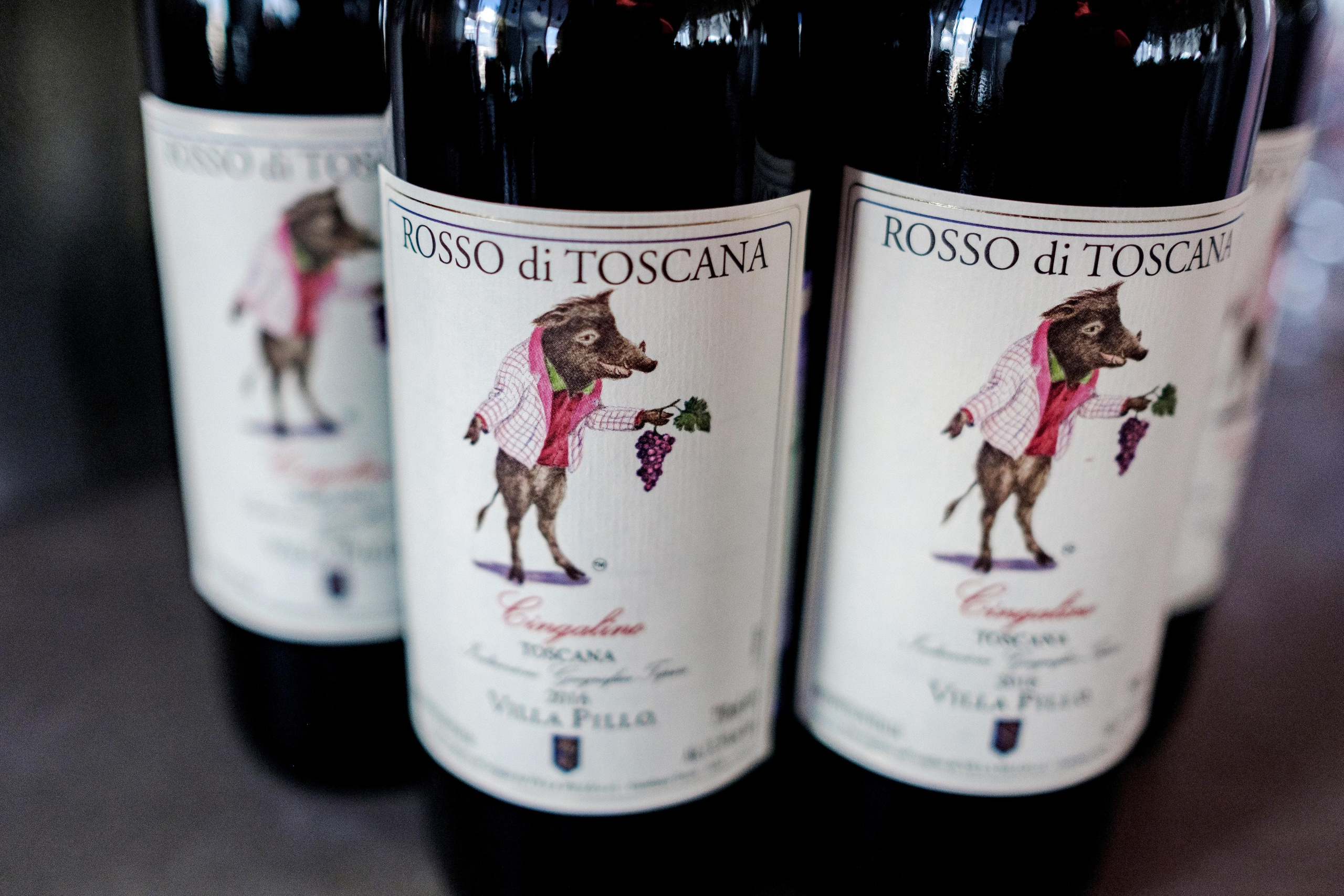 «Выше только любовь». Фотограф Макс Меш