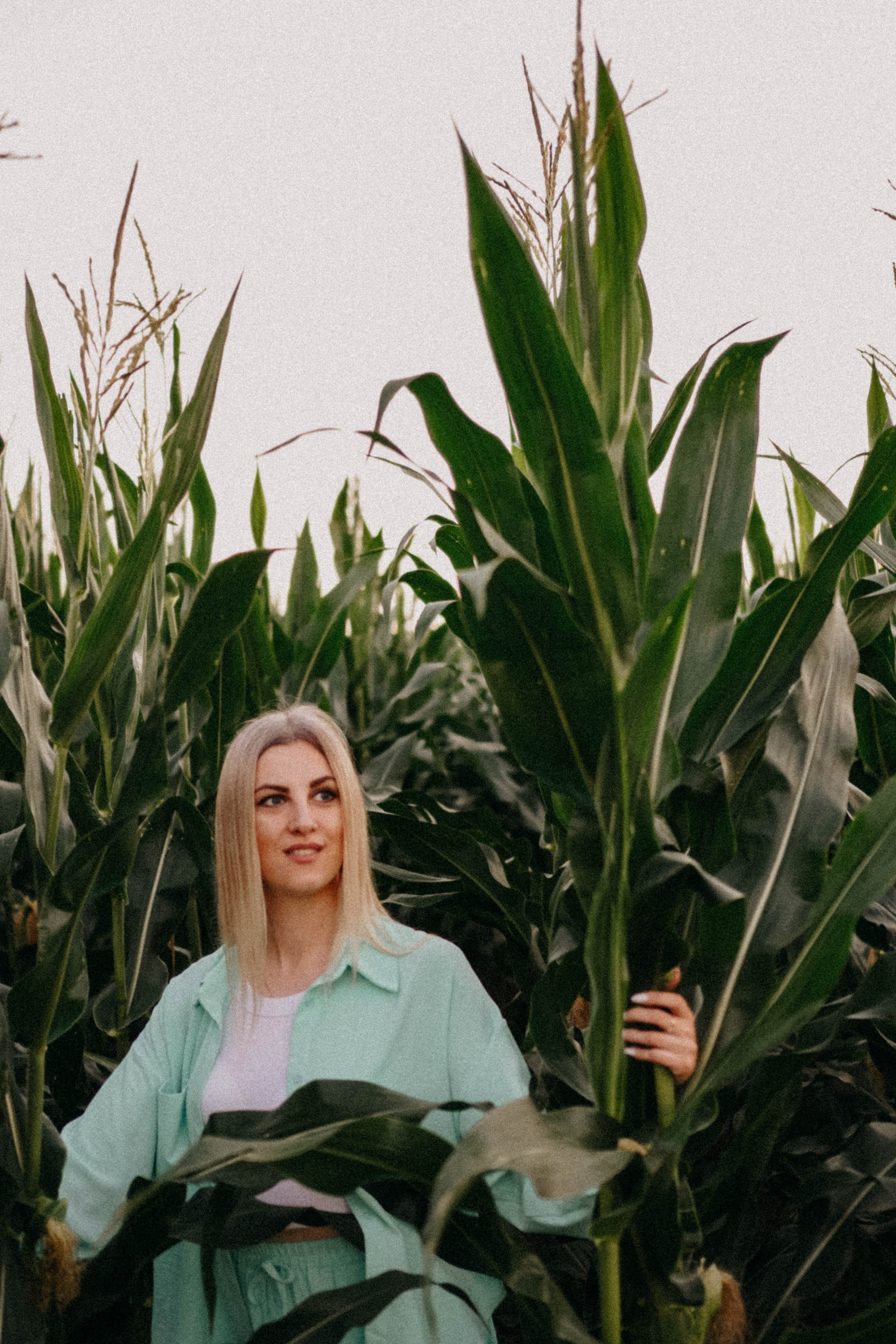 Летний вечер. Профессиональный фотограф, Санкт-Петербург — Виктория Богомолова