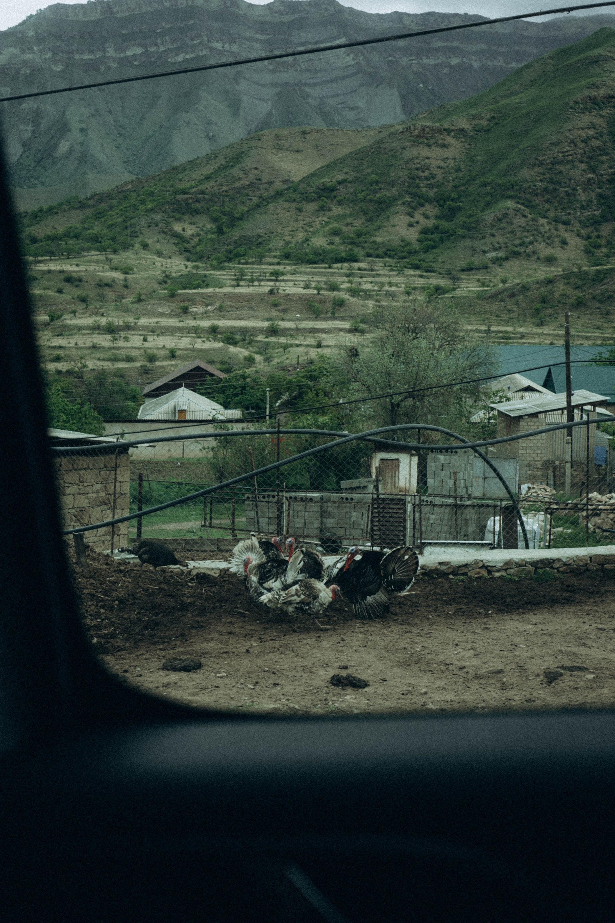 Кавказ. Профессиональный фотограф, Санкт-Петербург — Виктория Богомолова