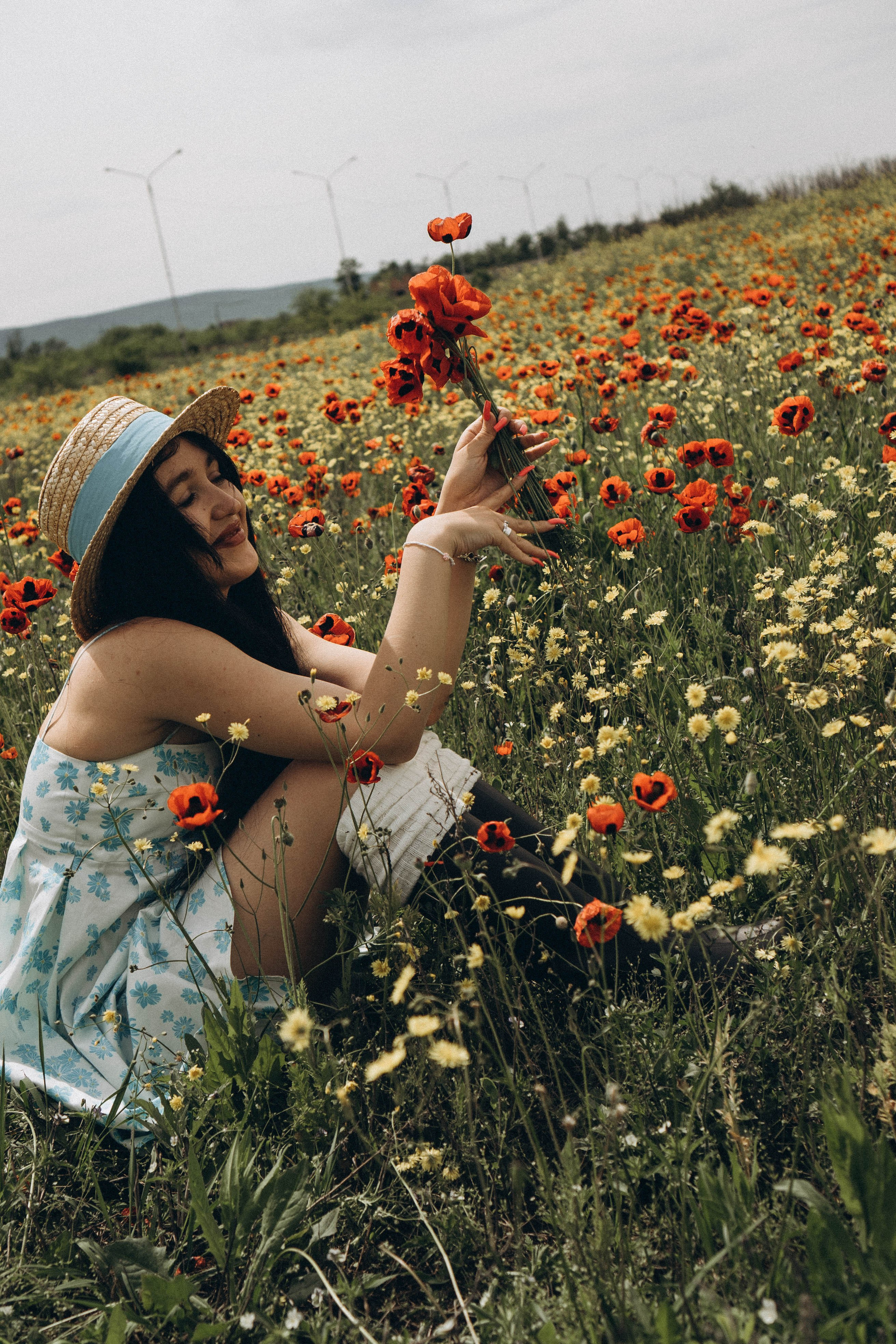 Цветочная поляна. Профессиональный фотограф, Санкт-Петербург — Виктория Богомолова