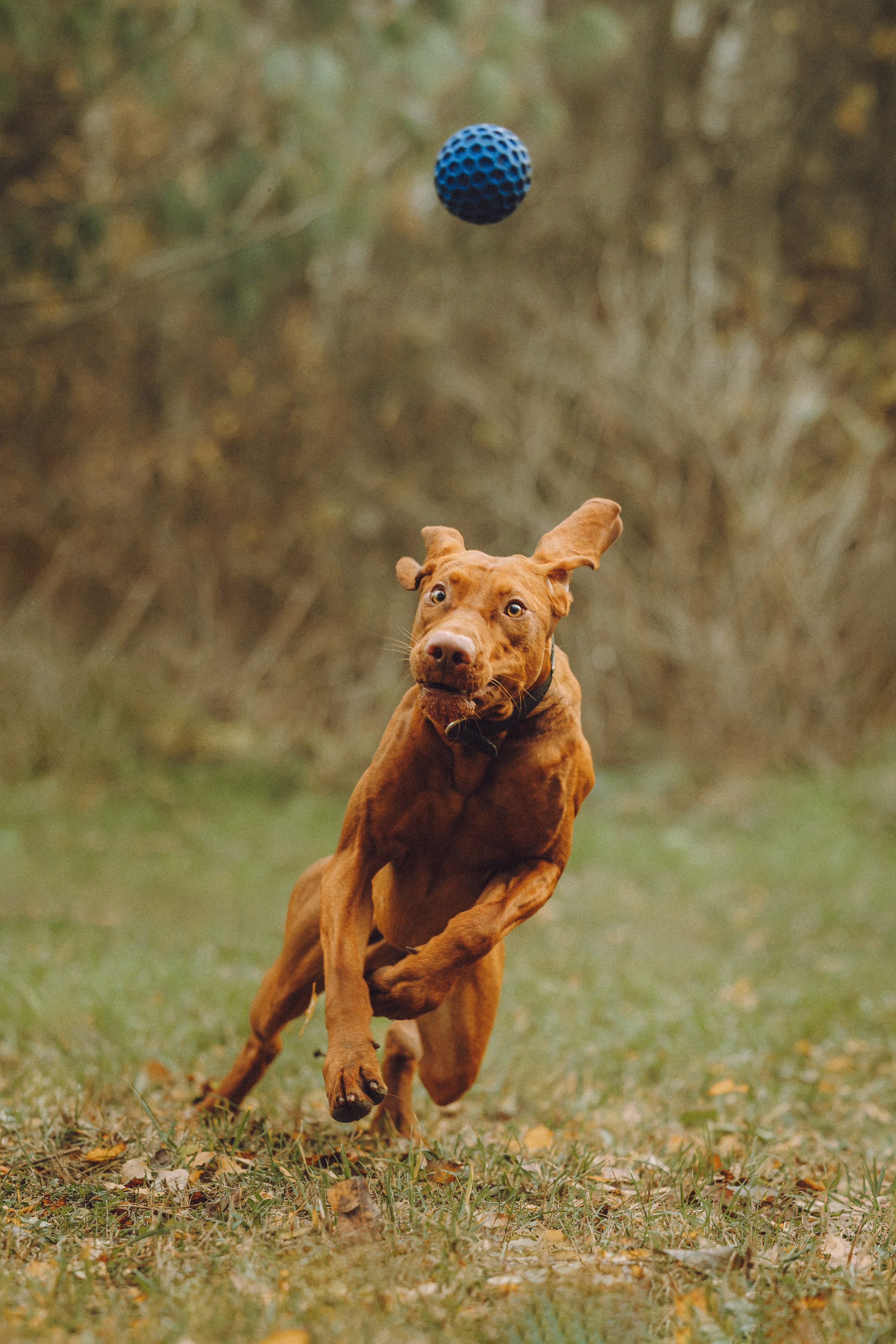 Дориан и его семья