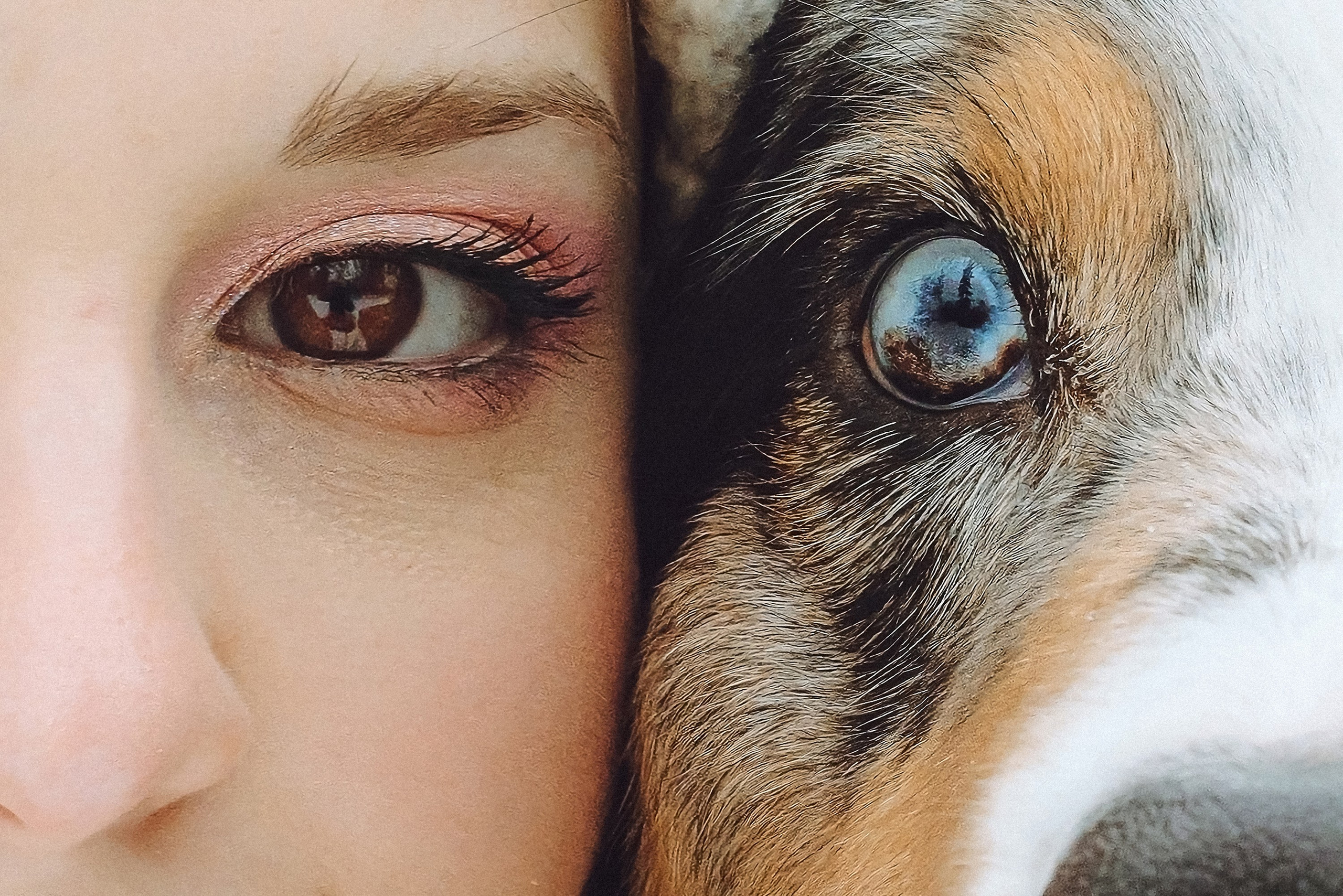 Фаня и ее семья