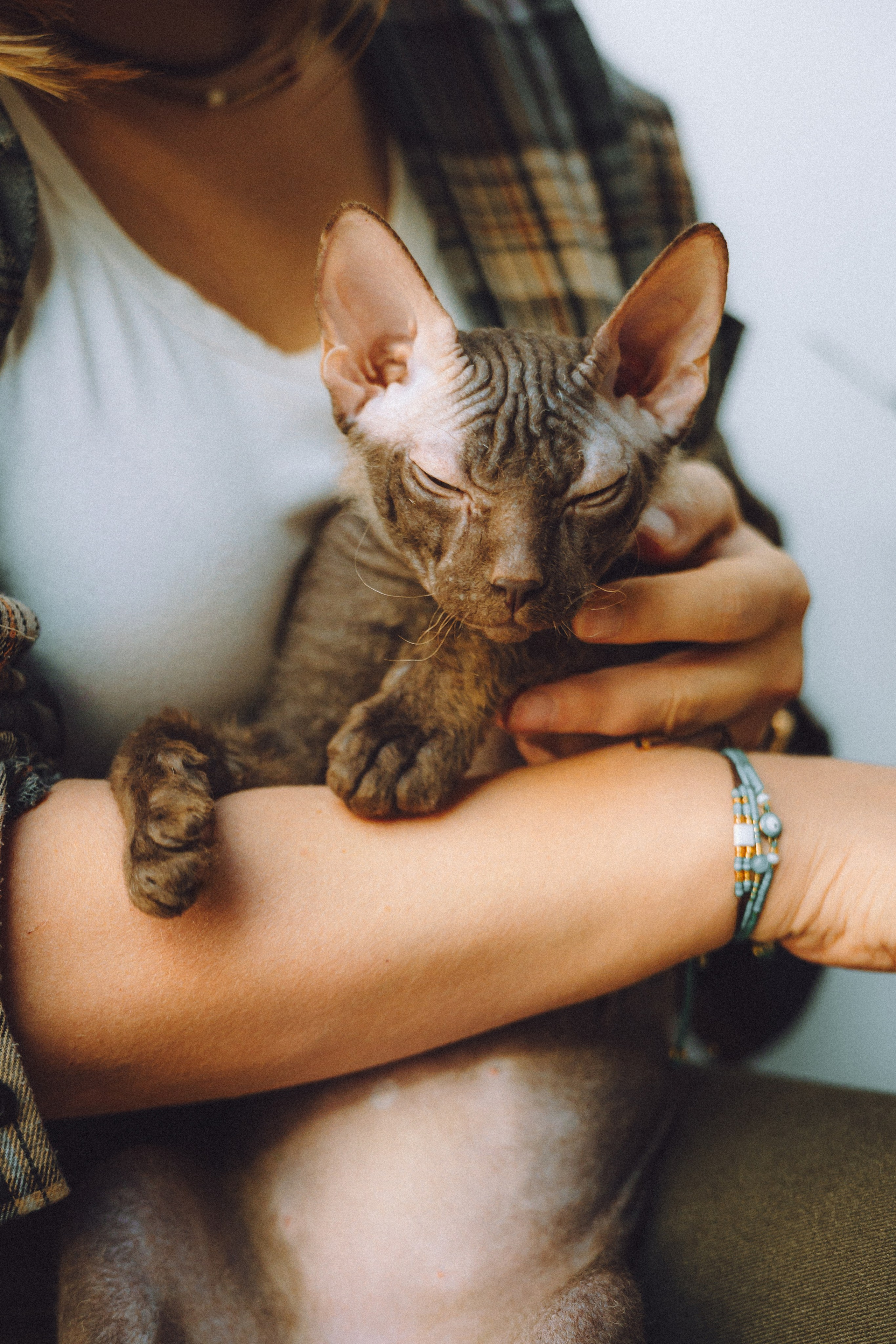 Кокос, Света, Динара и Вилли