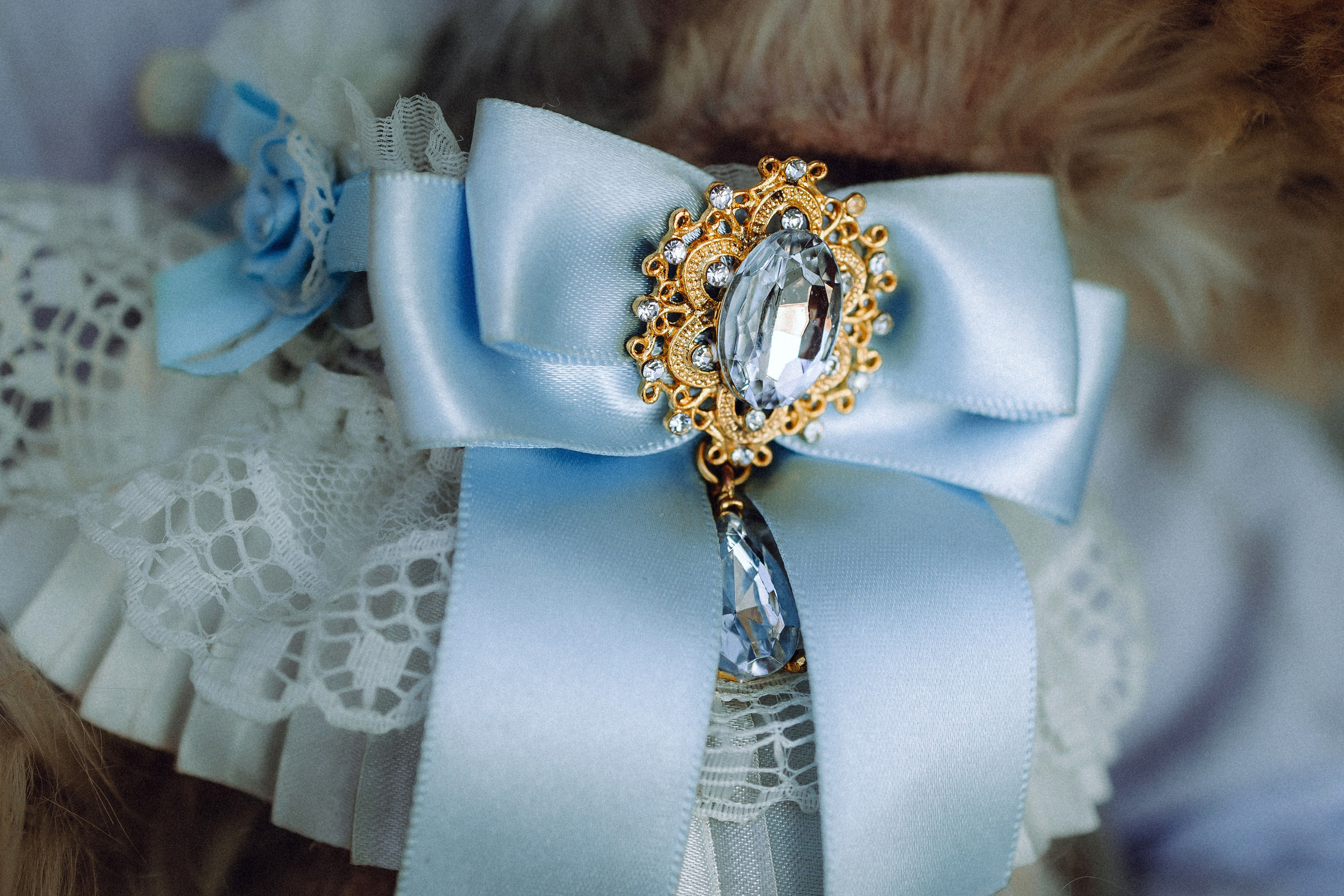 Дженни, Оливия и их семья