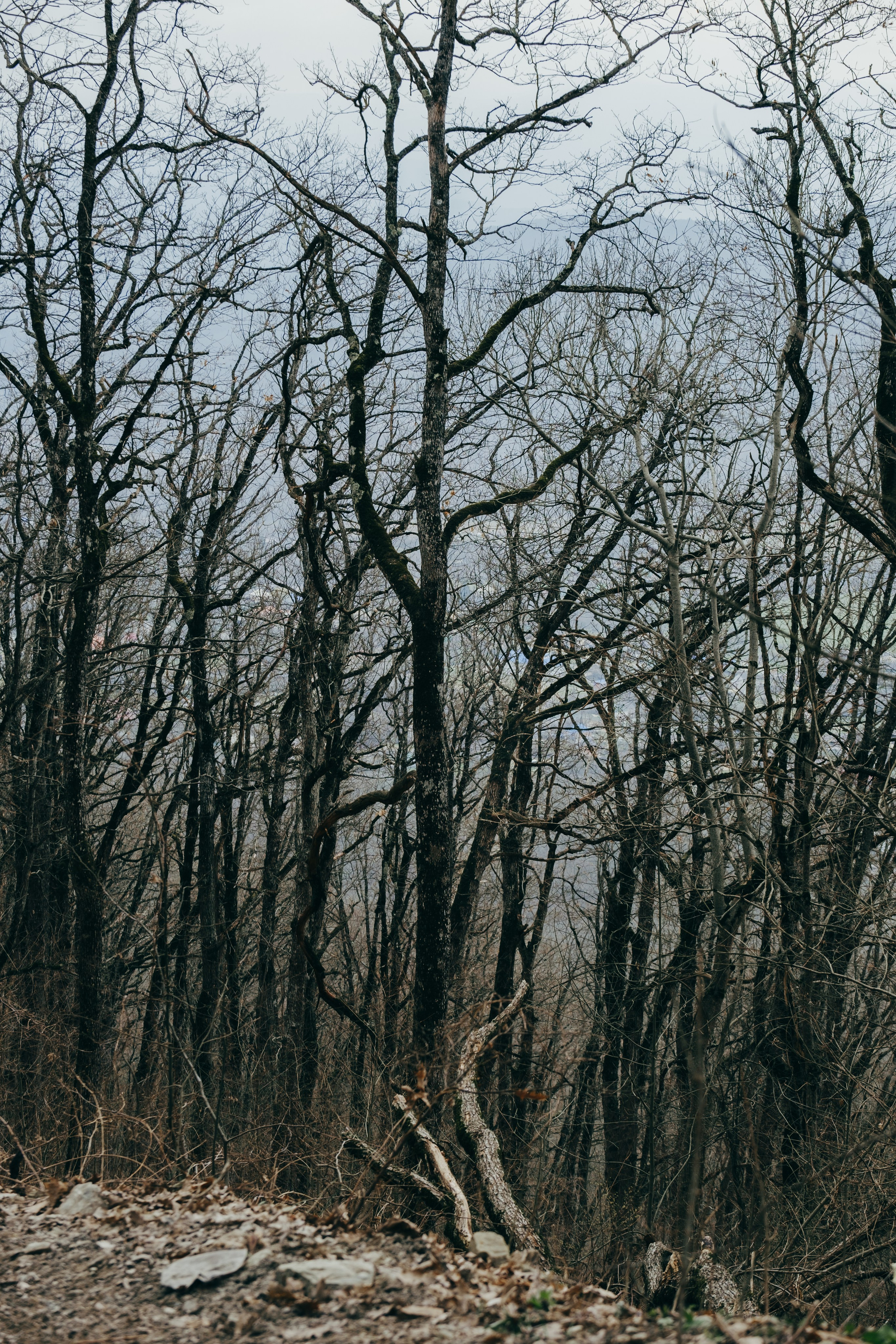 Эндуро Фест от Shamax Motors (Краснодар). Свадебный фотограф Денис Ожигин в Краснодаре и крае. Эмоциональная и стильная съемка вашего дня