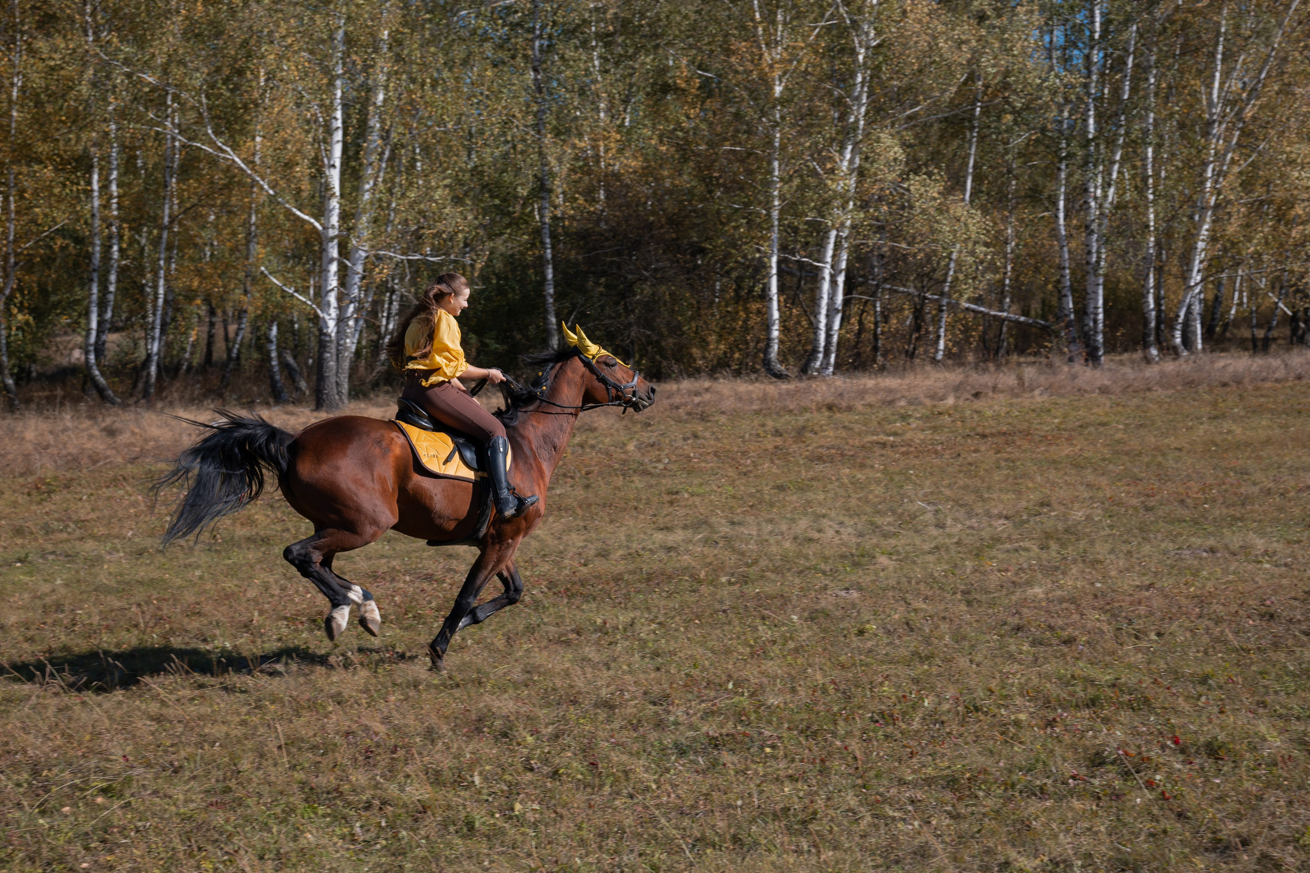 Фотосессия с лошадьми