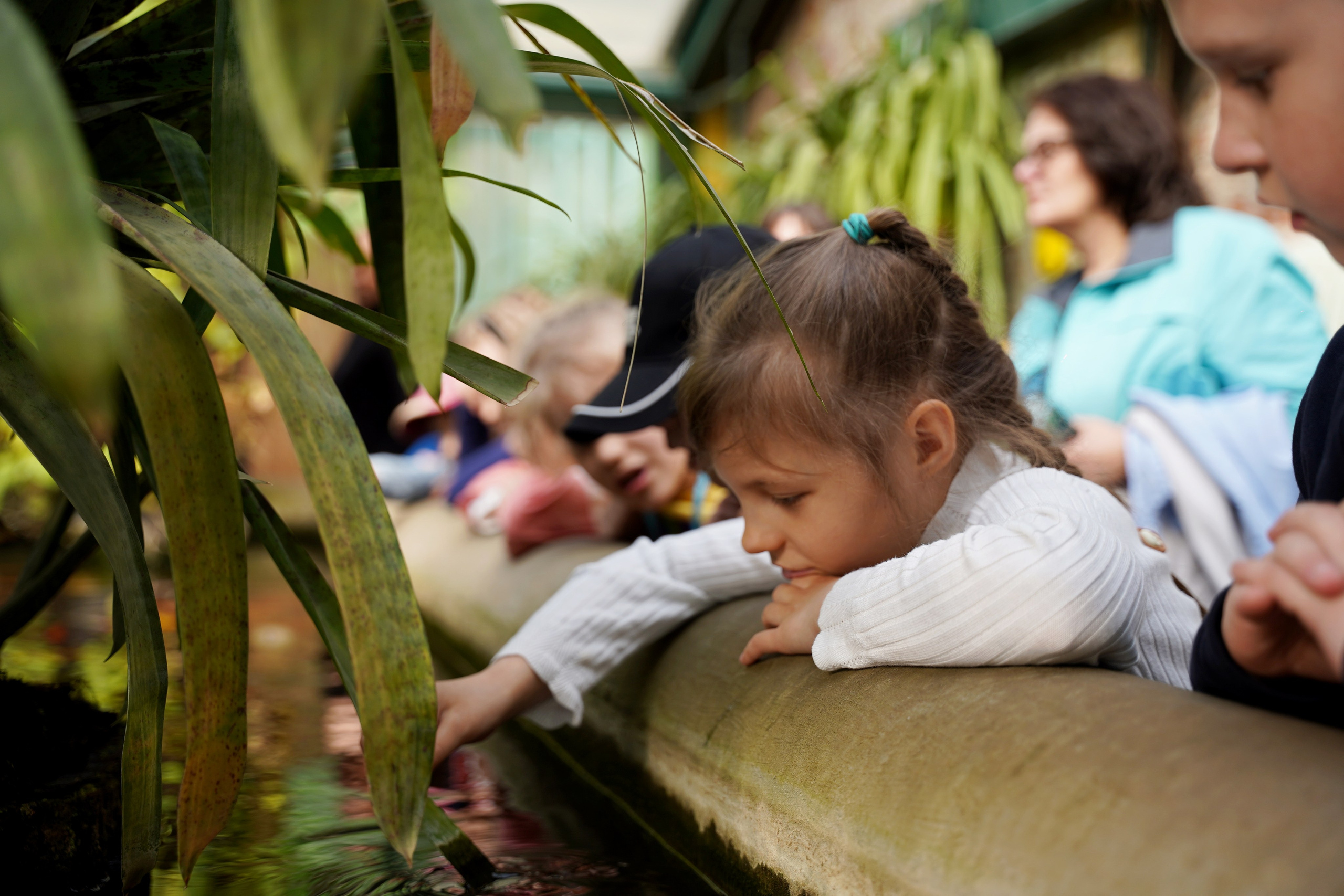 Аптекарский огород. Репортажный и портретный фотограф в Москве Анастасия Нетунаева