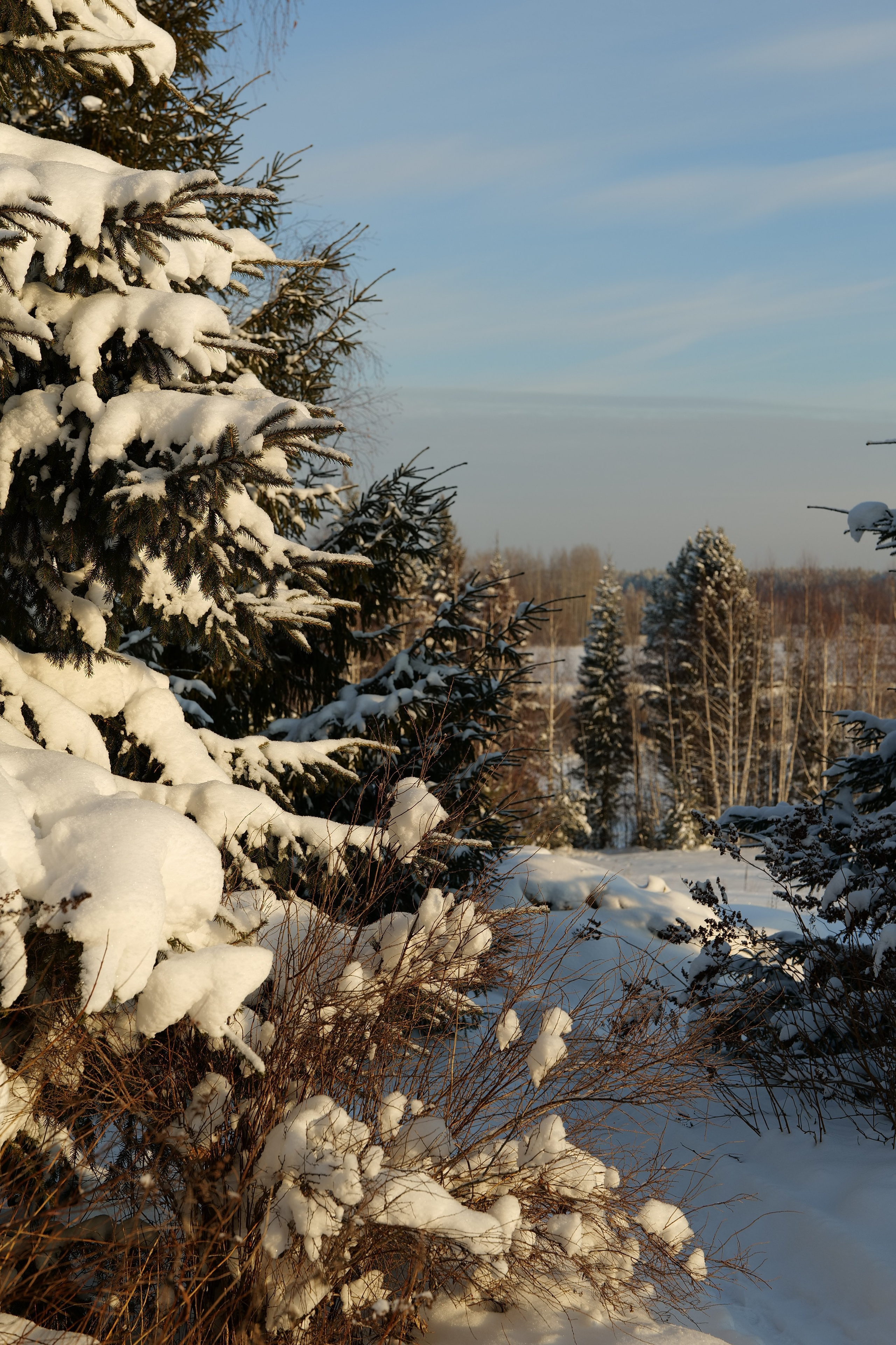 Верхотурье. Владимир Власюк
