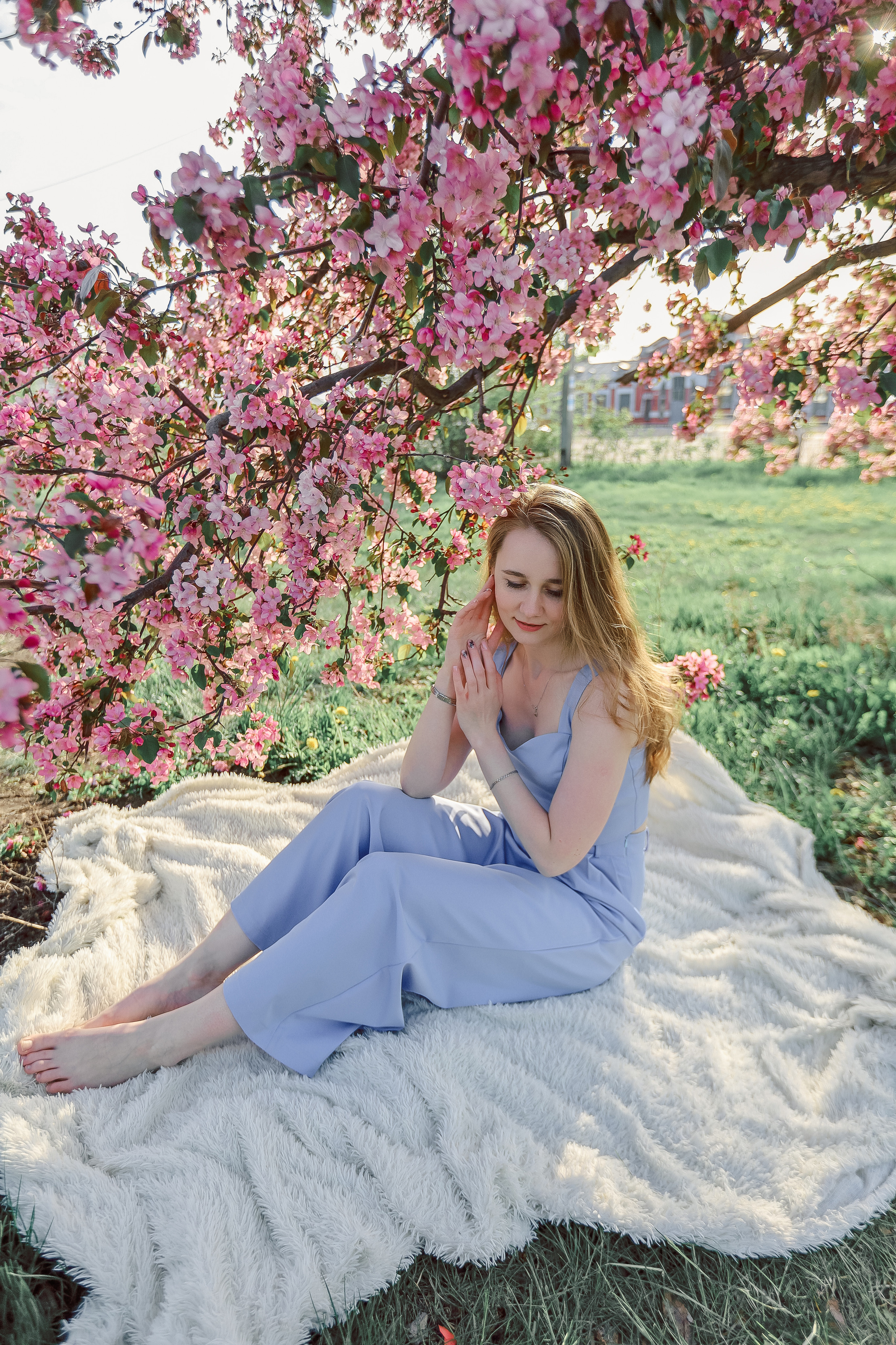 Яблони в цвету. Фотограф Алёна Кладова