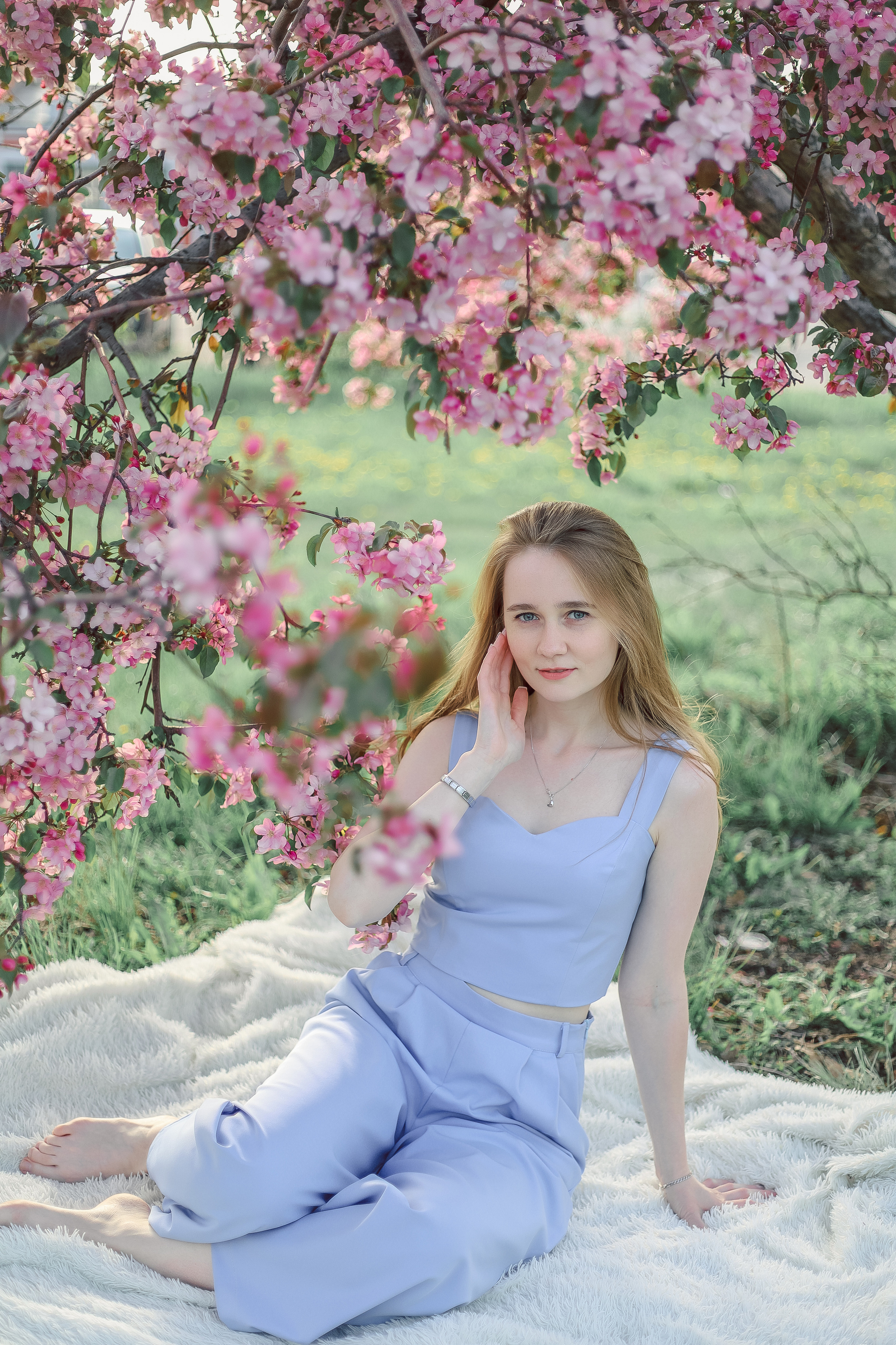 Яблони в цвету. Фотограф Алёна Кладова