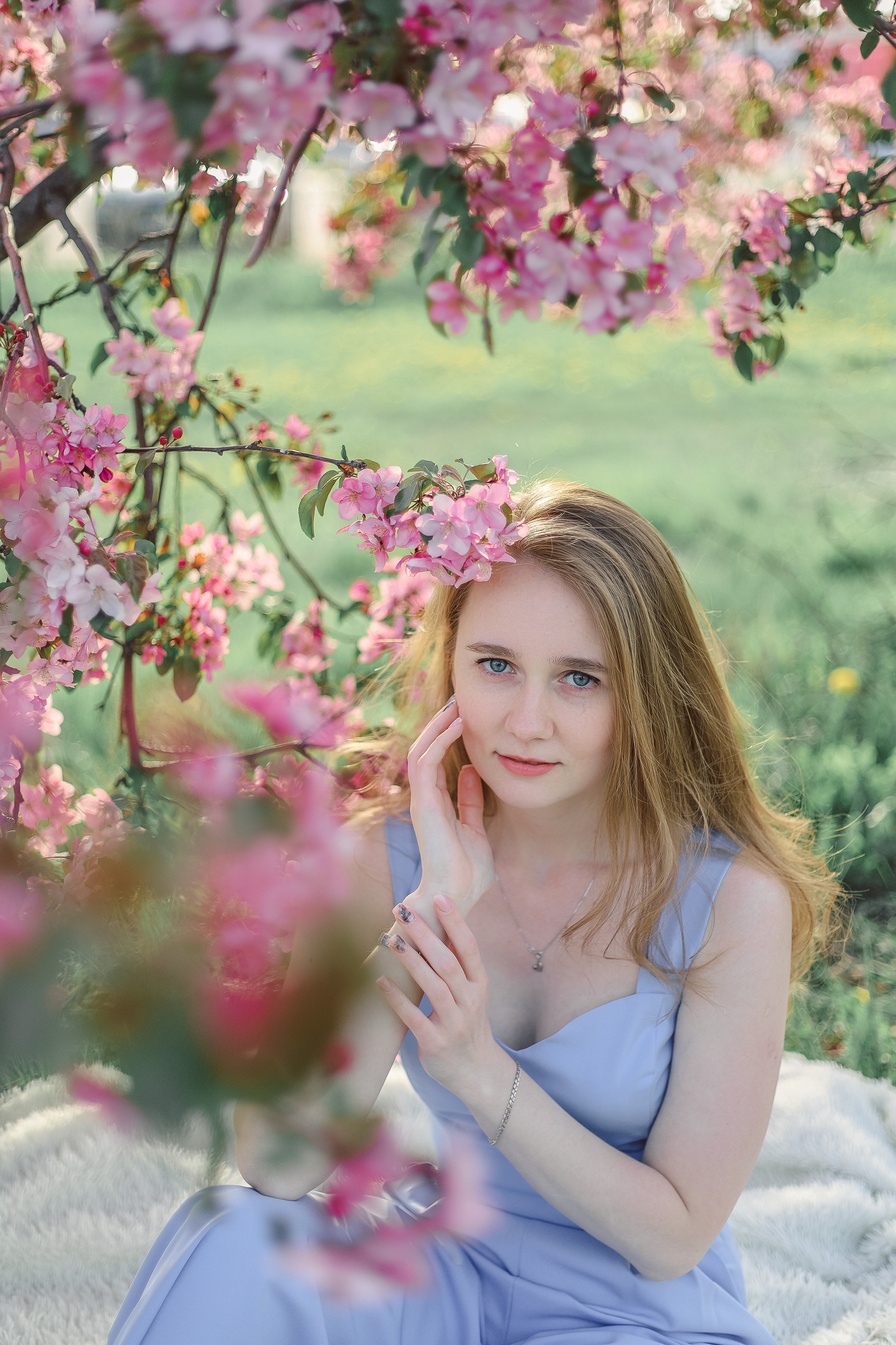 Яблони в цвету. Фотограф Алёна Кладова