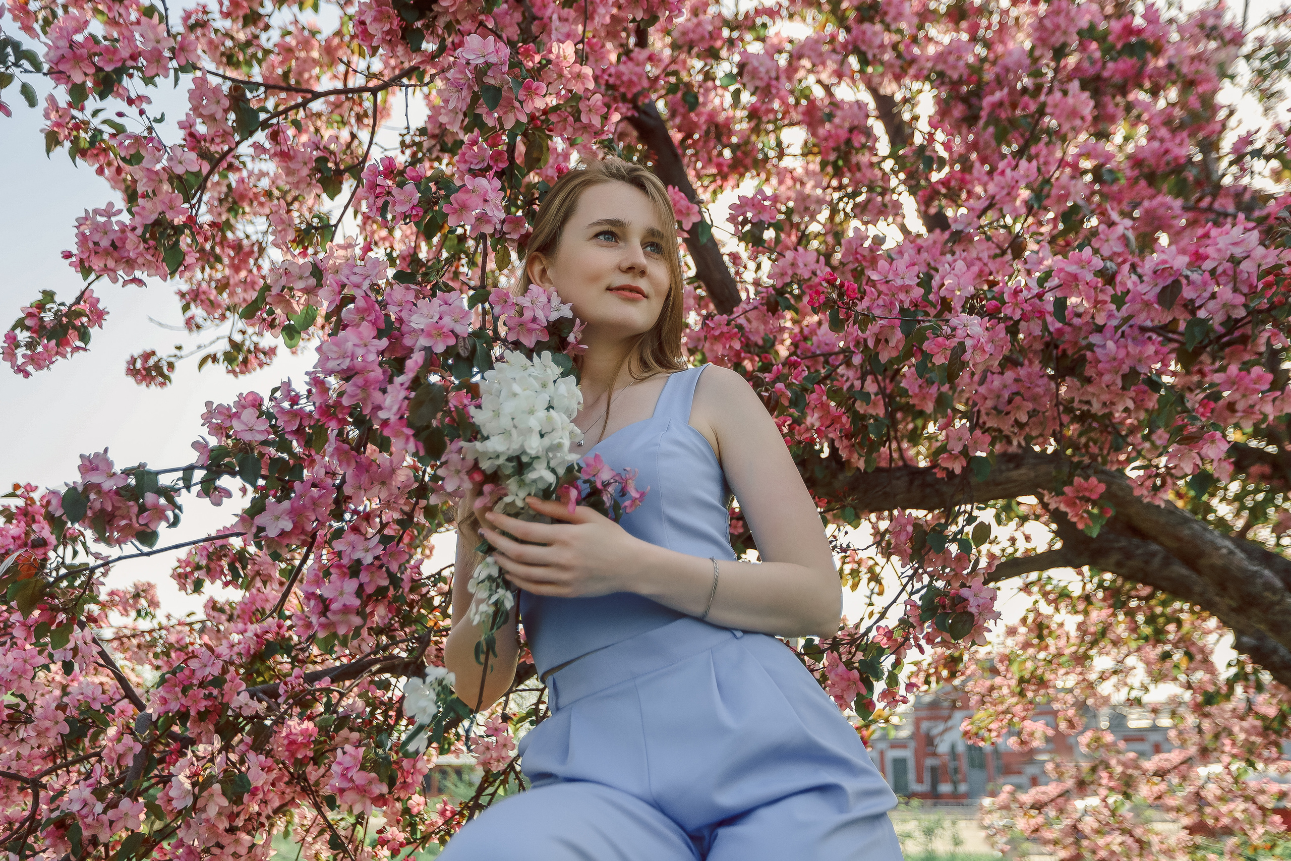 Яблони в цвету. Фотограф Алёна Кладова