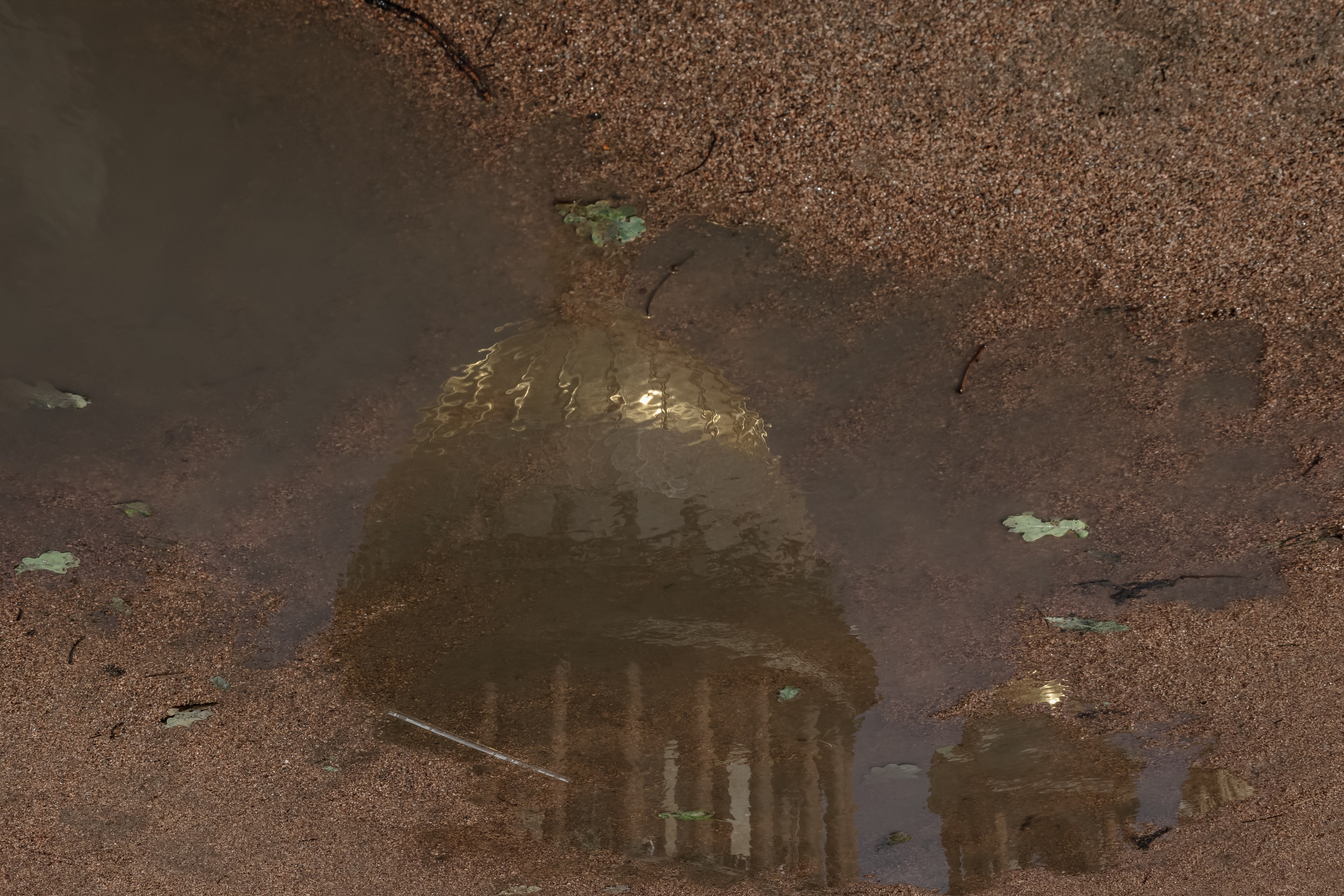 Максим и Ирина. Свадебный фотограф, крещение, венчание СПБ, Белгород Анна Коршунова