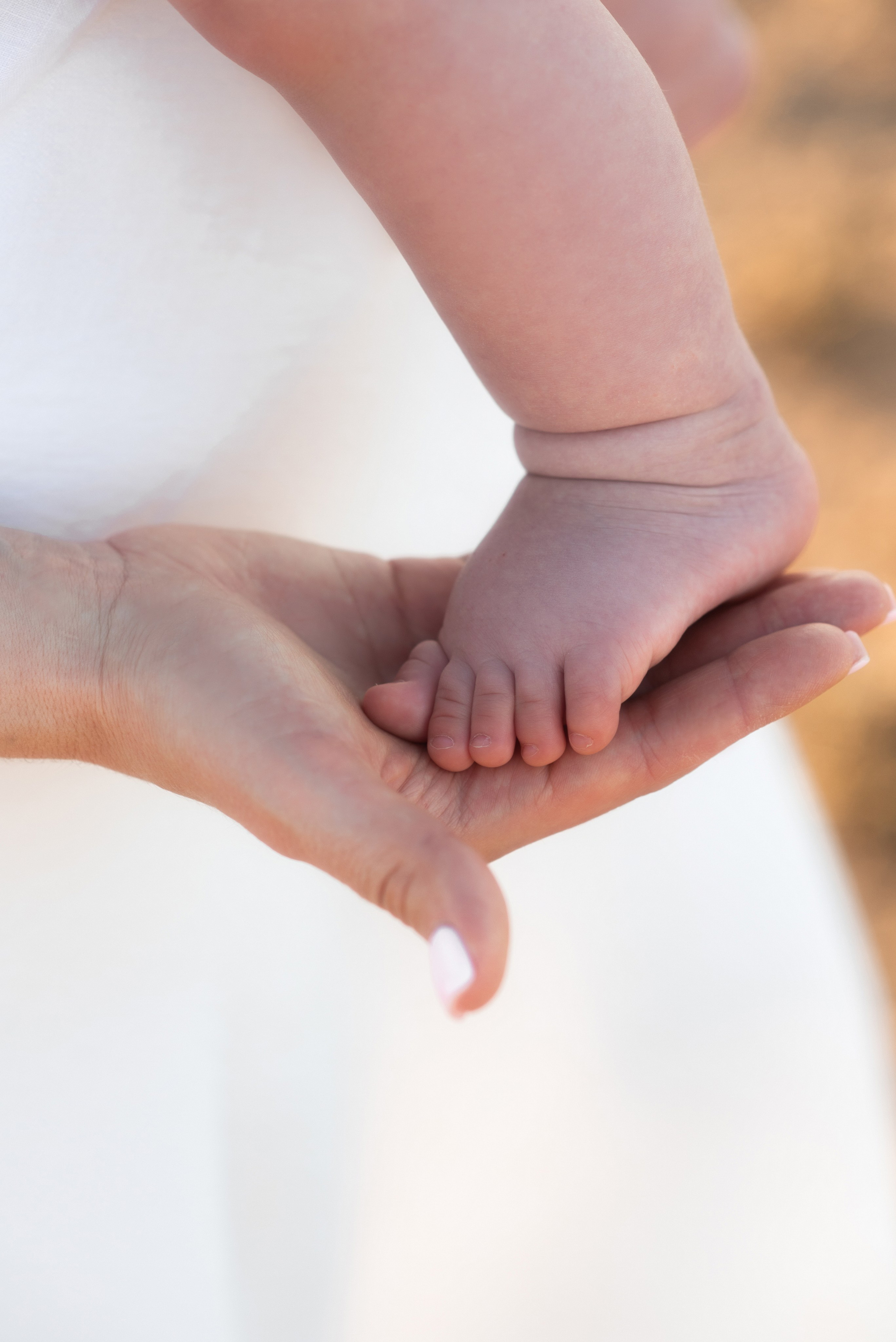 В поле каждый колосок. Главная