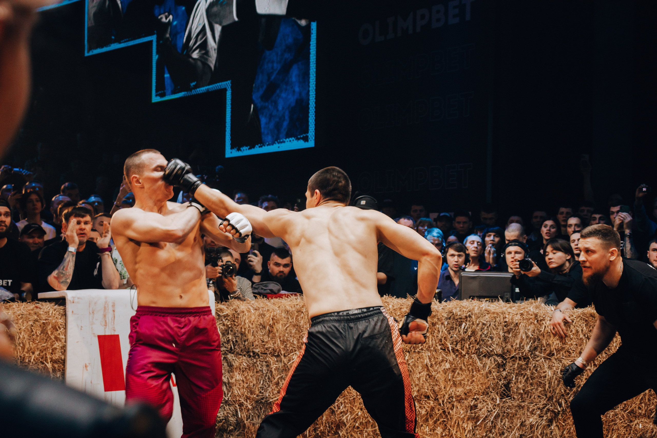 Кулачные бои TopDog. Анастасия Тен