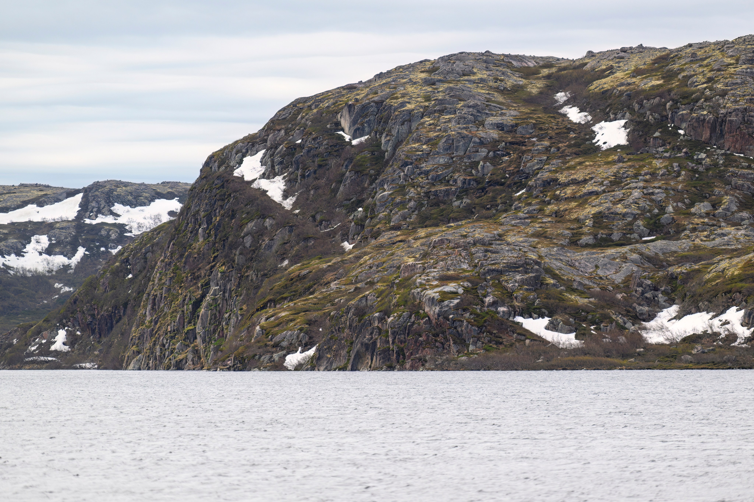Мурманская область. Июнь 2024. Фотограф Сергей Пупонин