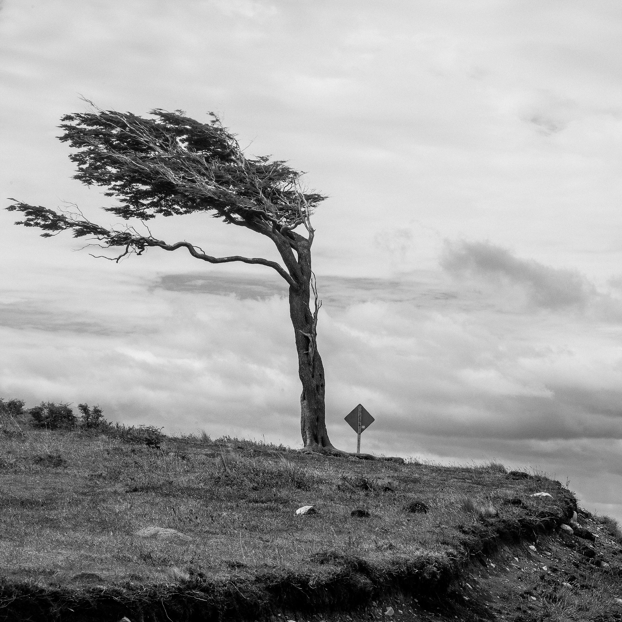 Пространство. Промышленная и репортажная фотография