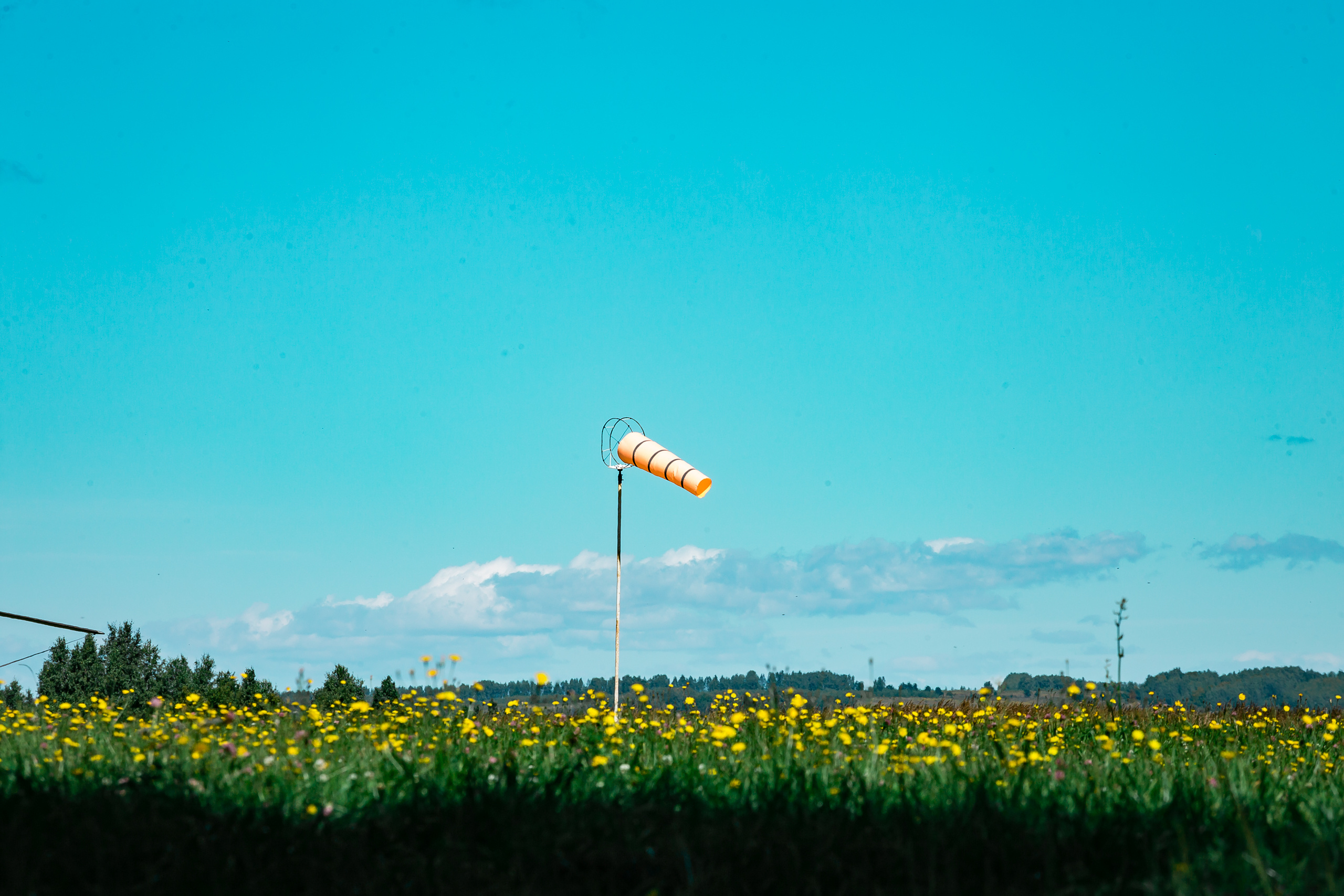 Проект «Вместе с мамой» — аэродром в Богородске. Фотографиня Мария Дикова