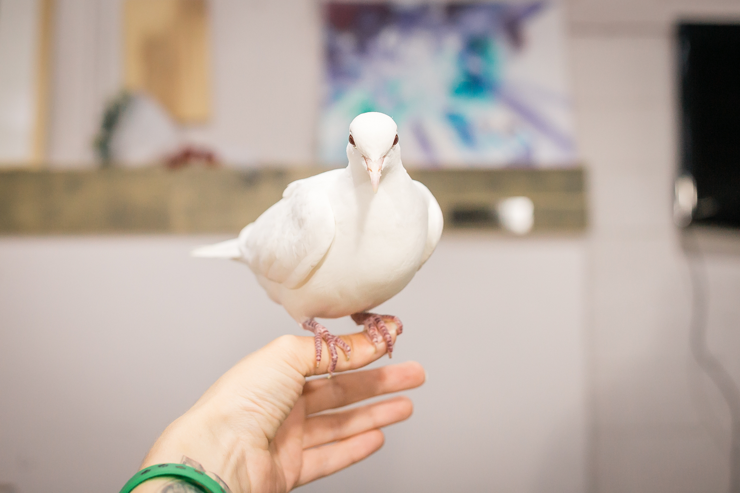 Вечер магии с Алексеем Хаотом. Фотографиня Мария Дикова