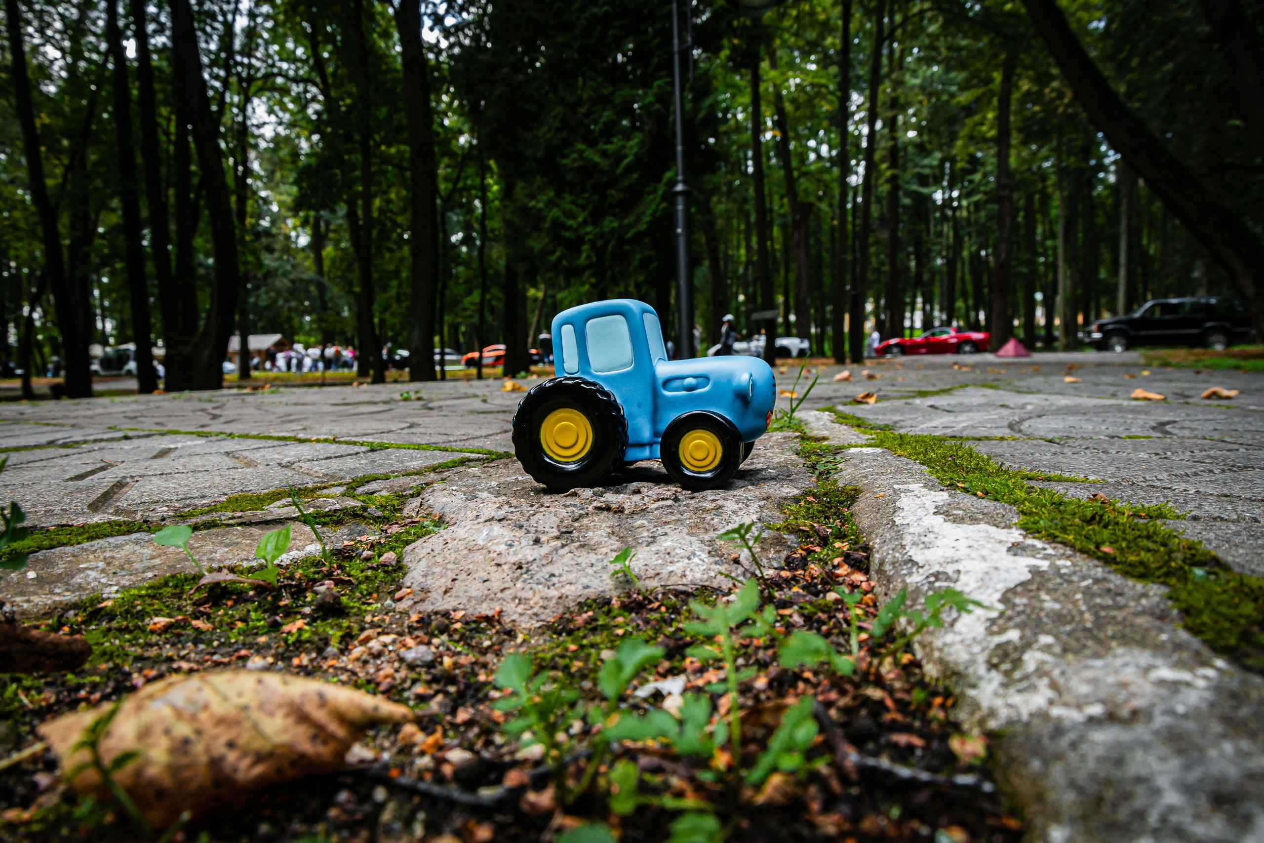 Автовыходные. Фотограф Илья Варакин