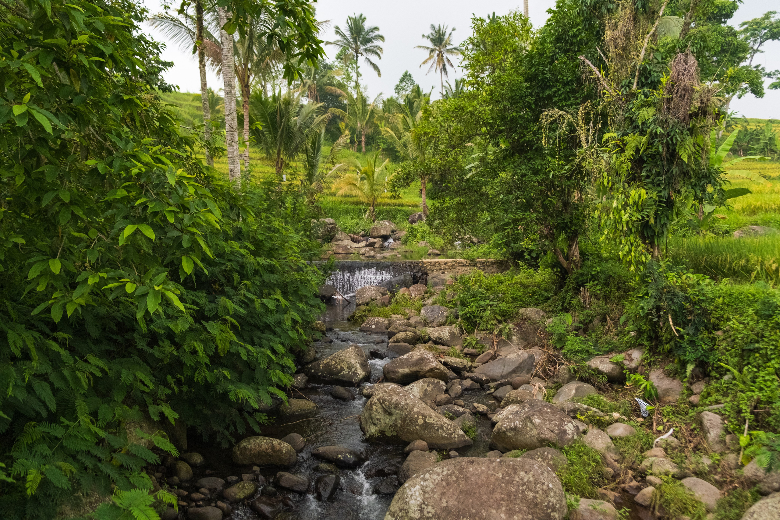 Остров Бали. Фотографии из путешествий