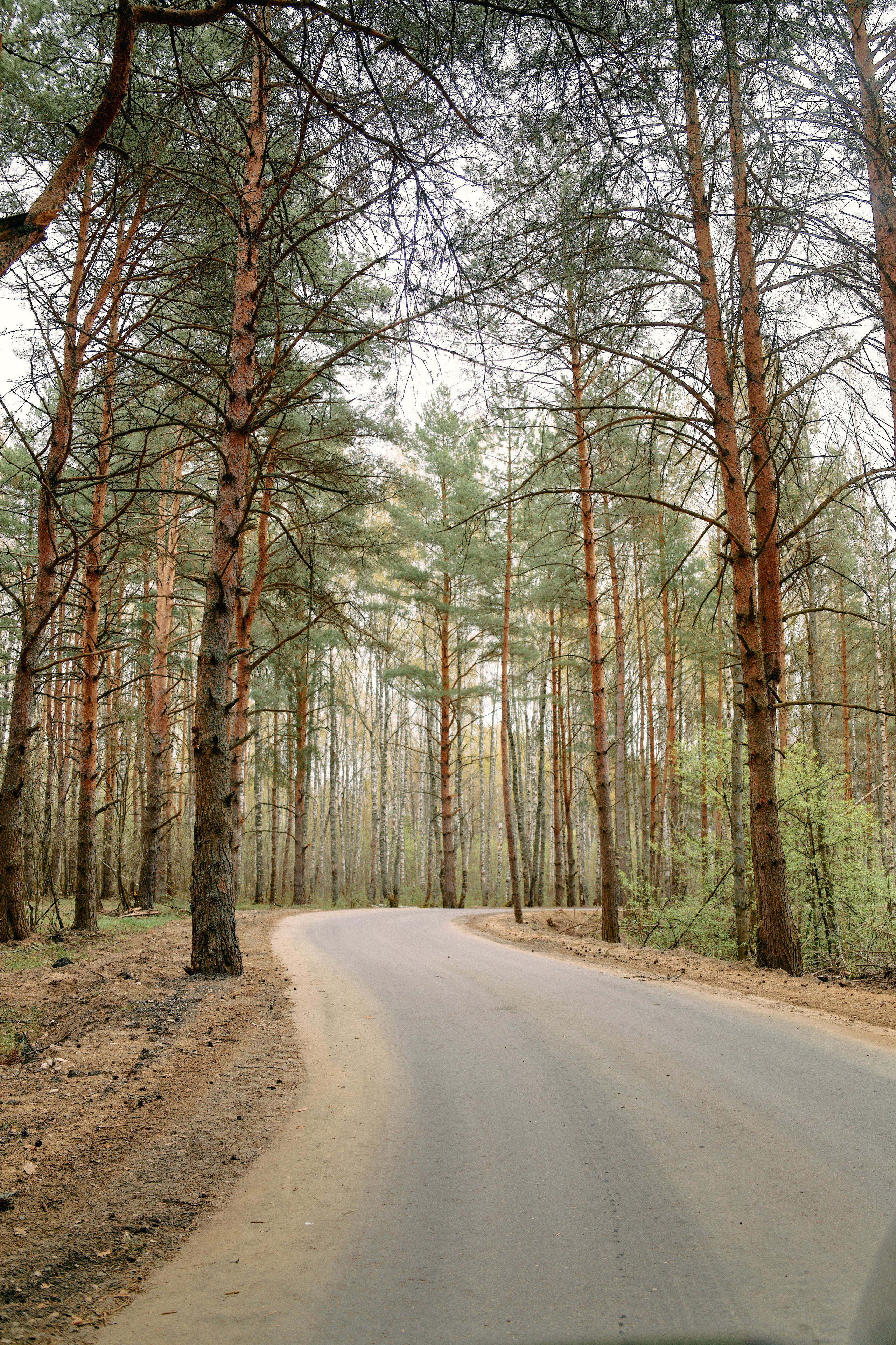 Бутик-отель Поле летом. Профессиональный Фотограф во Владимире, в Москве и в Суздале — Полина Романычева