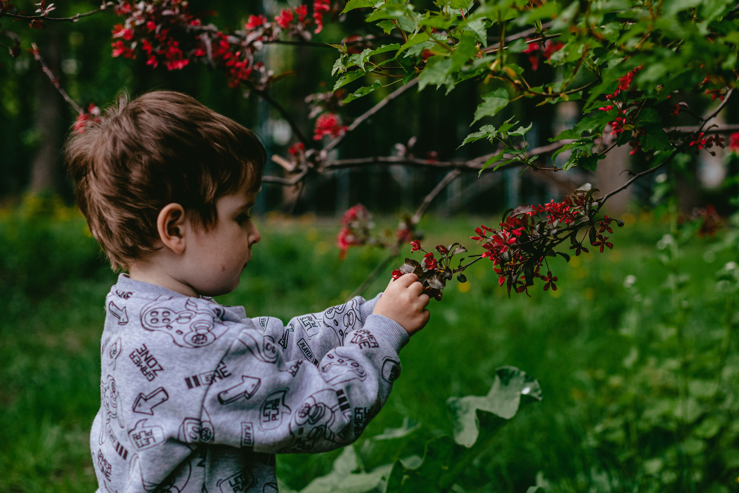 Семейная экспресс фотосессия в рамках фотодня. Фотограф-анималист Татьяна Степанова