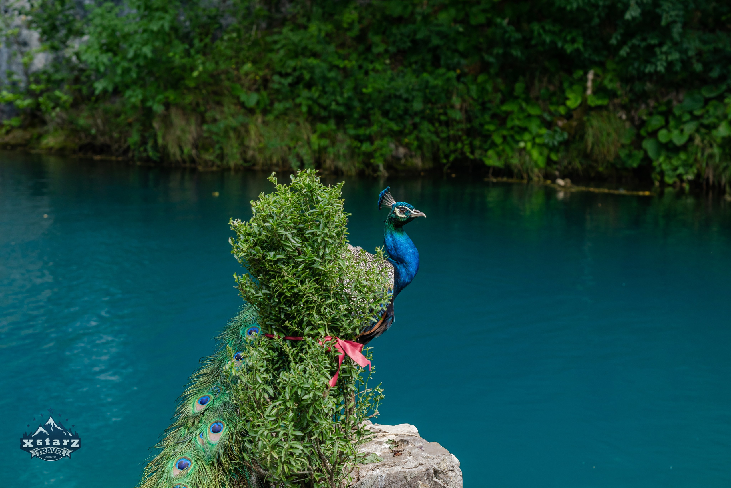 Тур в Абхазию. Фотограф Галина Нестерова