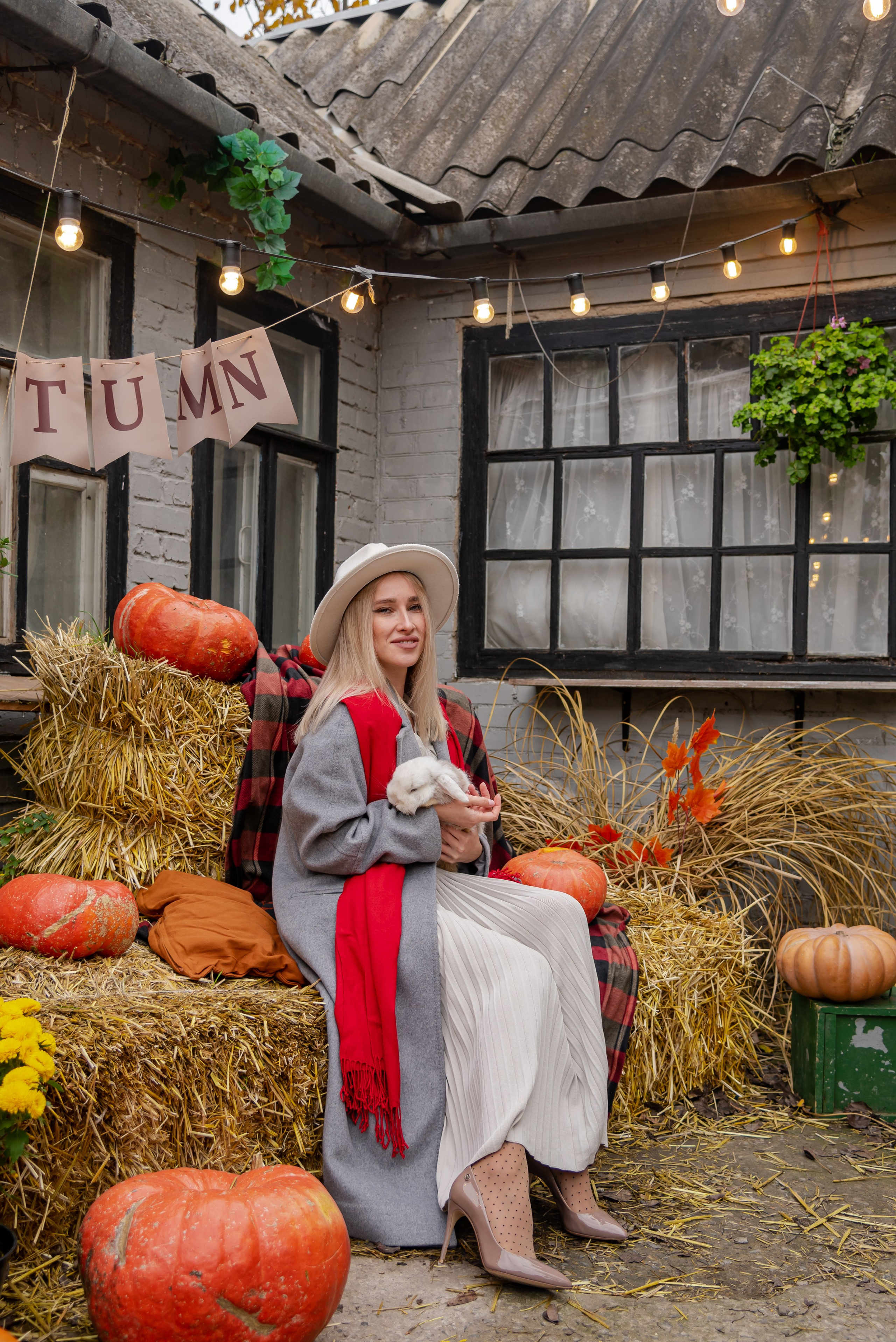 Авакадо. Фотограф Галина Нестерова