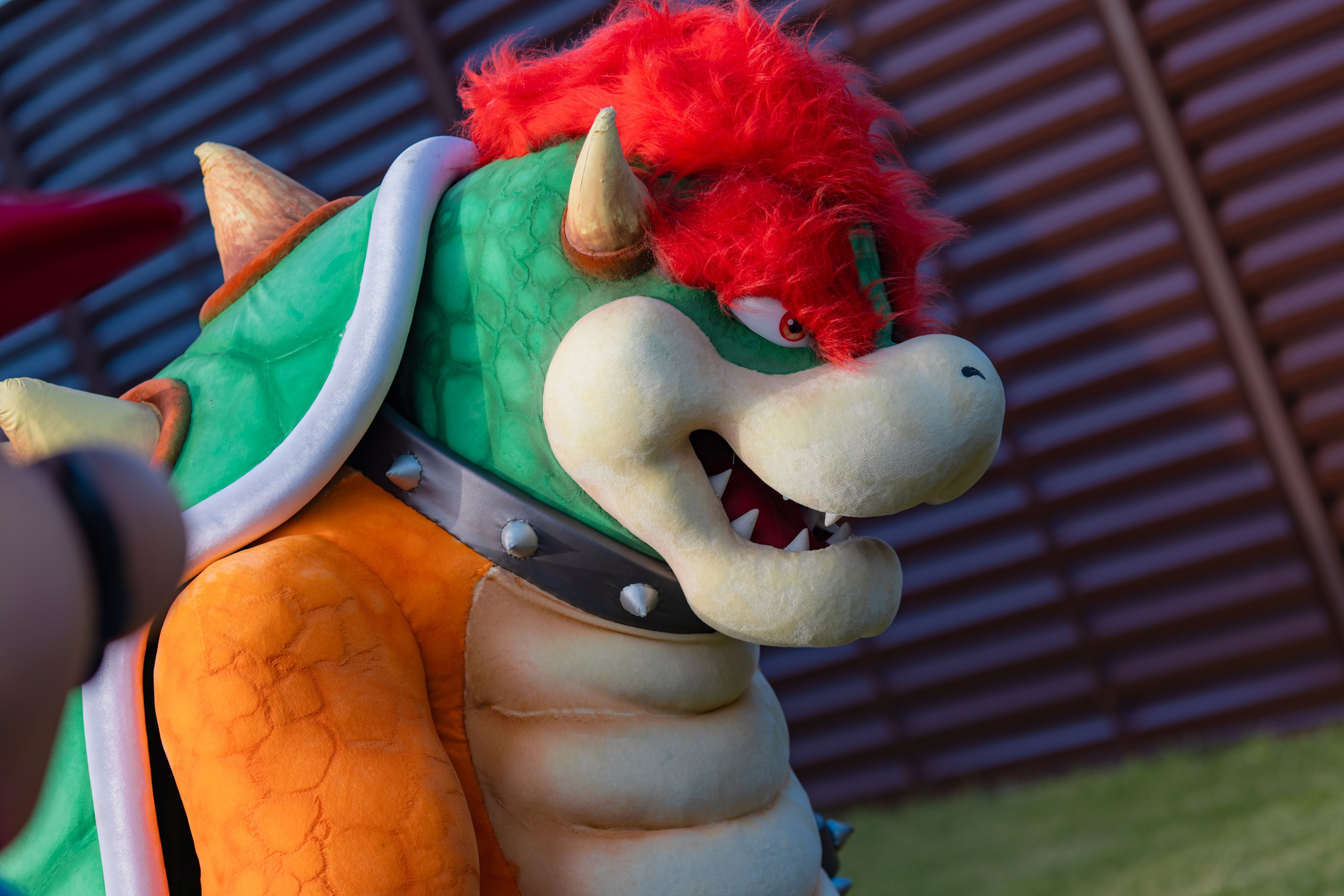 День Рождения Марка 5 лет. Детский и семейный фотограф Евгения Вахнеева Москва Зеленоград