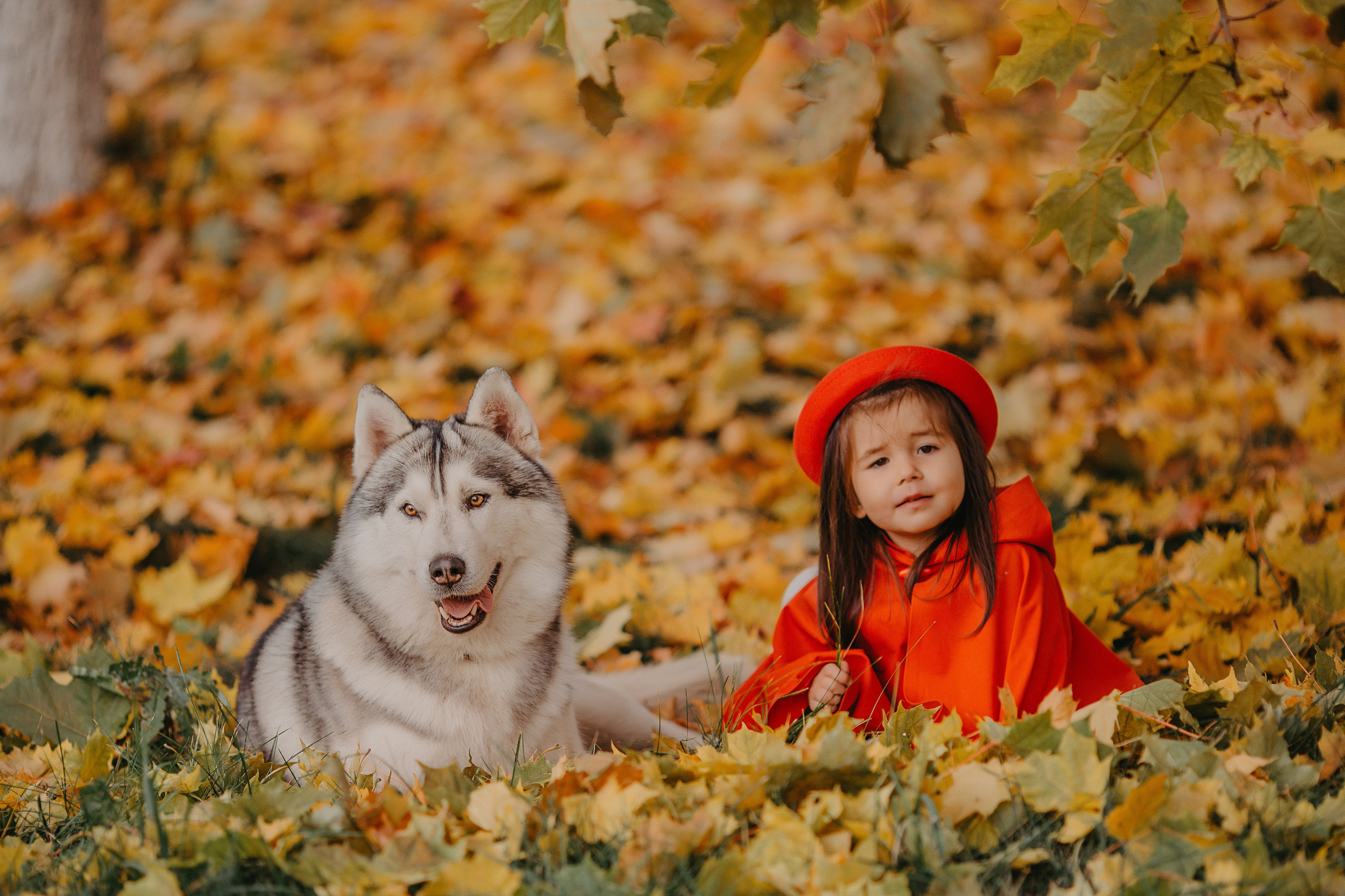 Красная шапочка. Свадебный, семейный и детский фотограф Набережные Челны