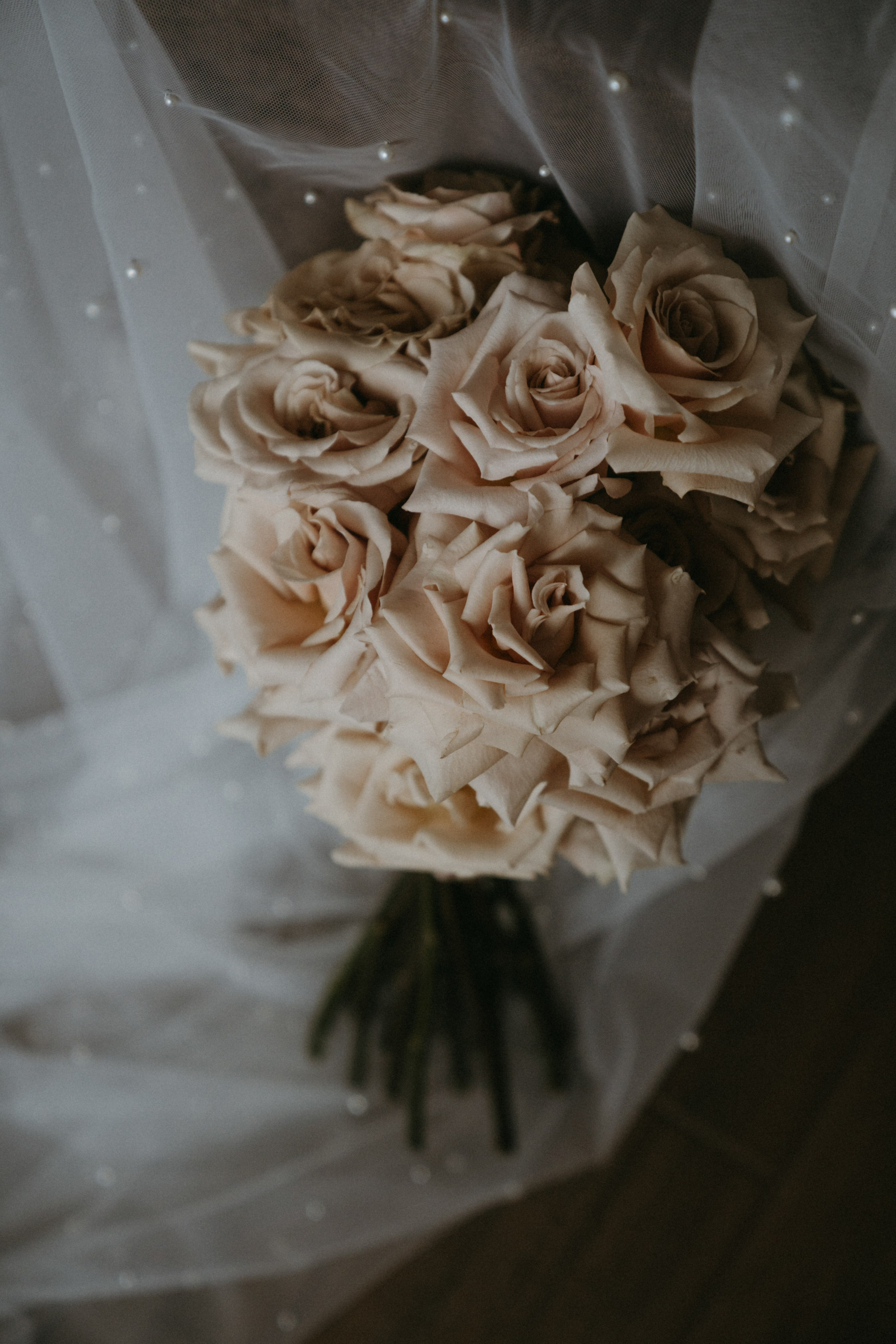 21/07/23. Фотограф Наталья Шелест