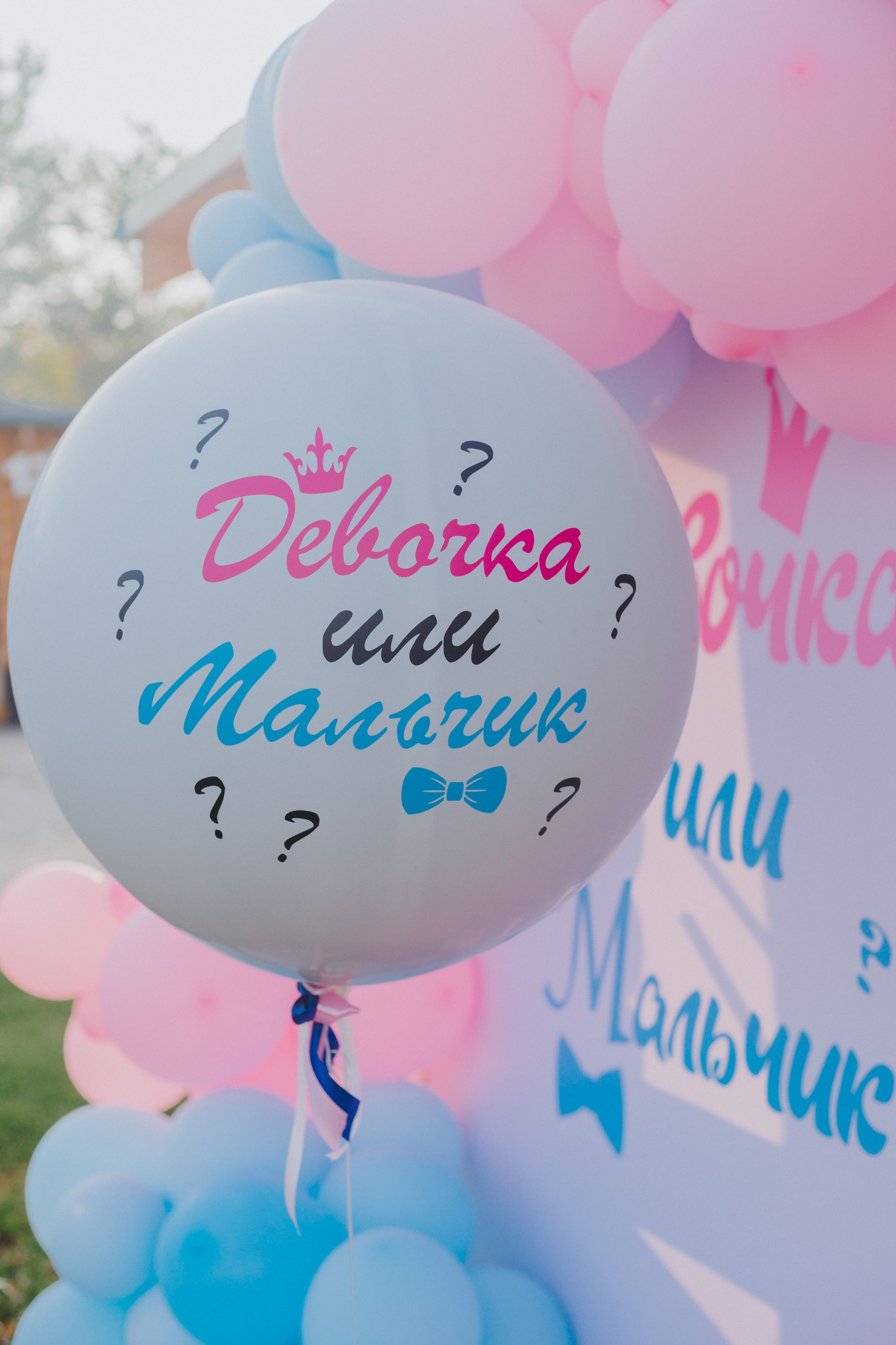 Гендер-пати. Свадебный и семейный фотограф г. Волгоград Биленко Ангелина