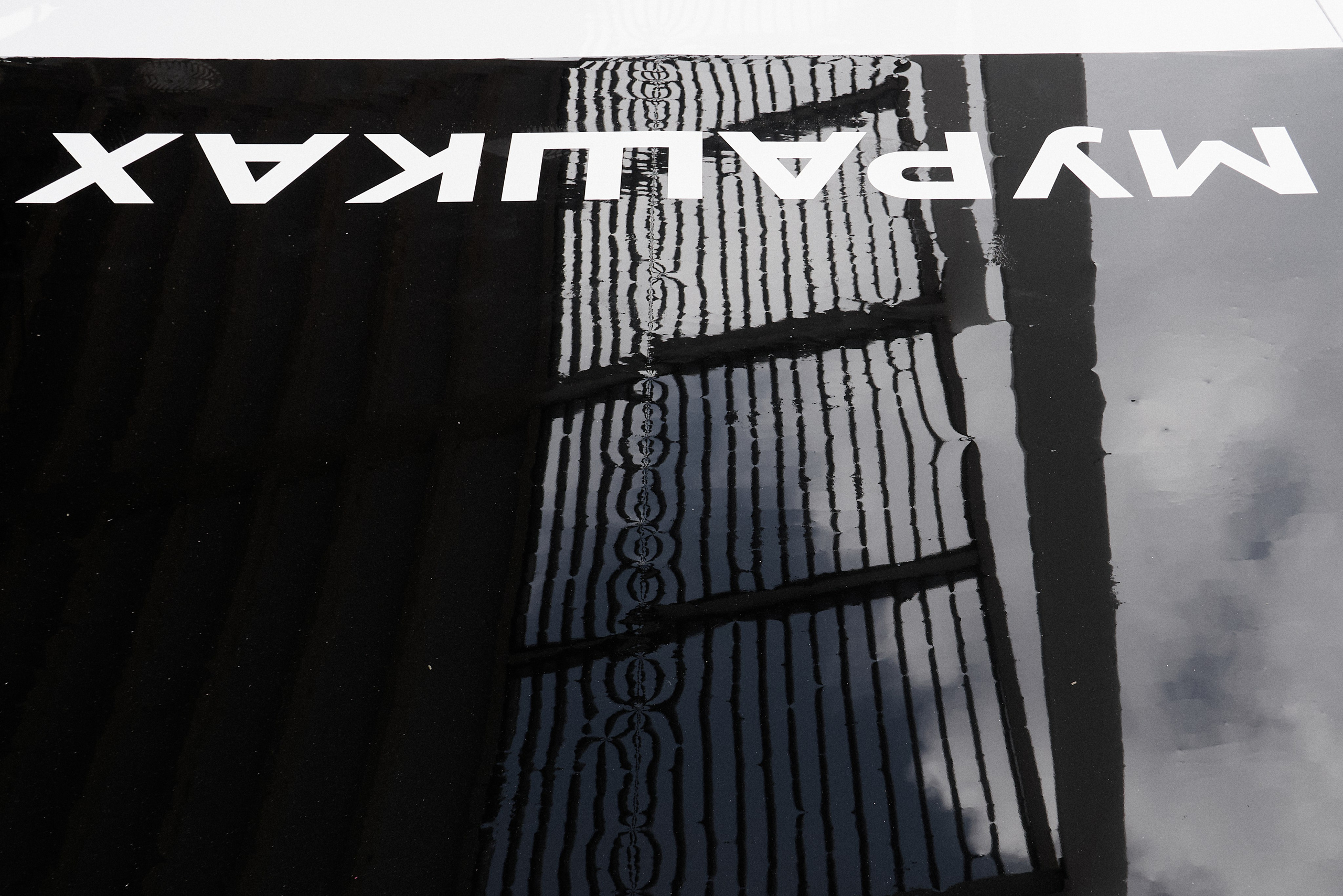 Александр и Ксения. Свадебный организатор в Тольятти | Самаре