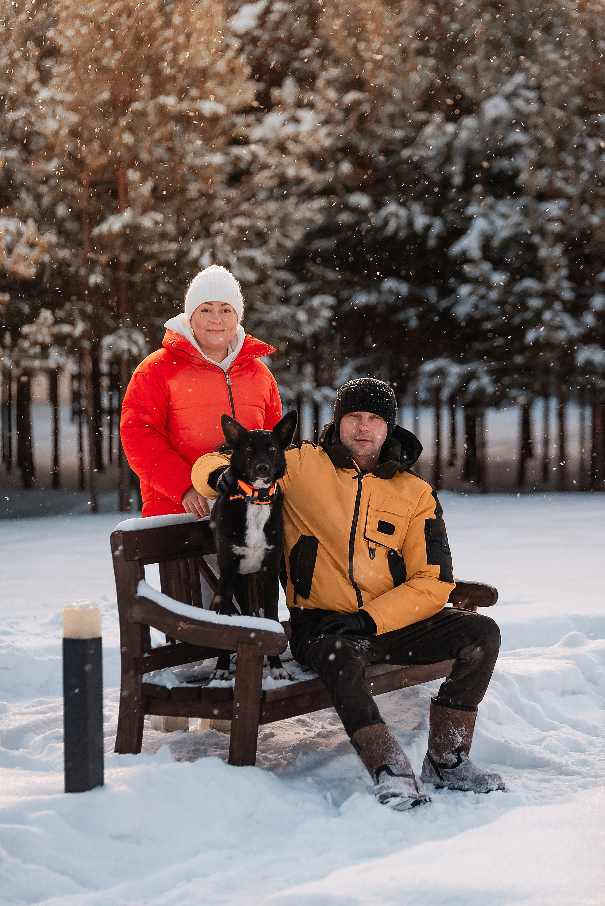 Татьяна, Михаил, Шелли и Лаки. Фотограф-анималист Анастасия Парфенова|Екатеринбург