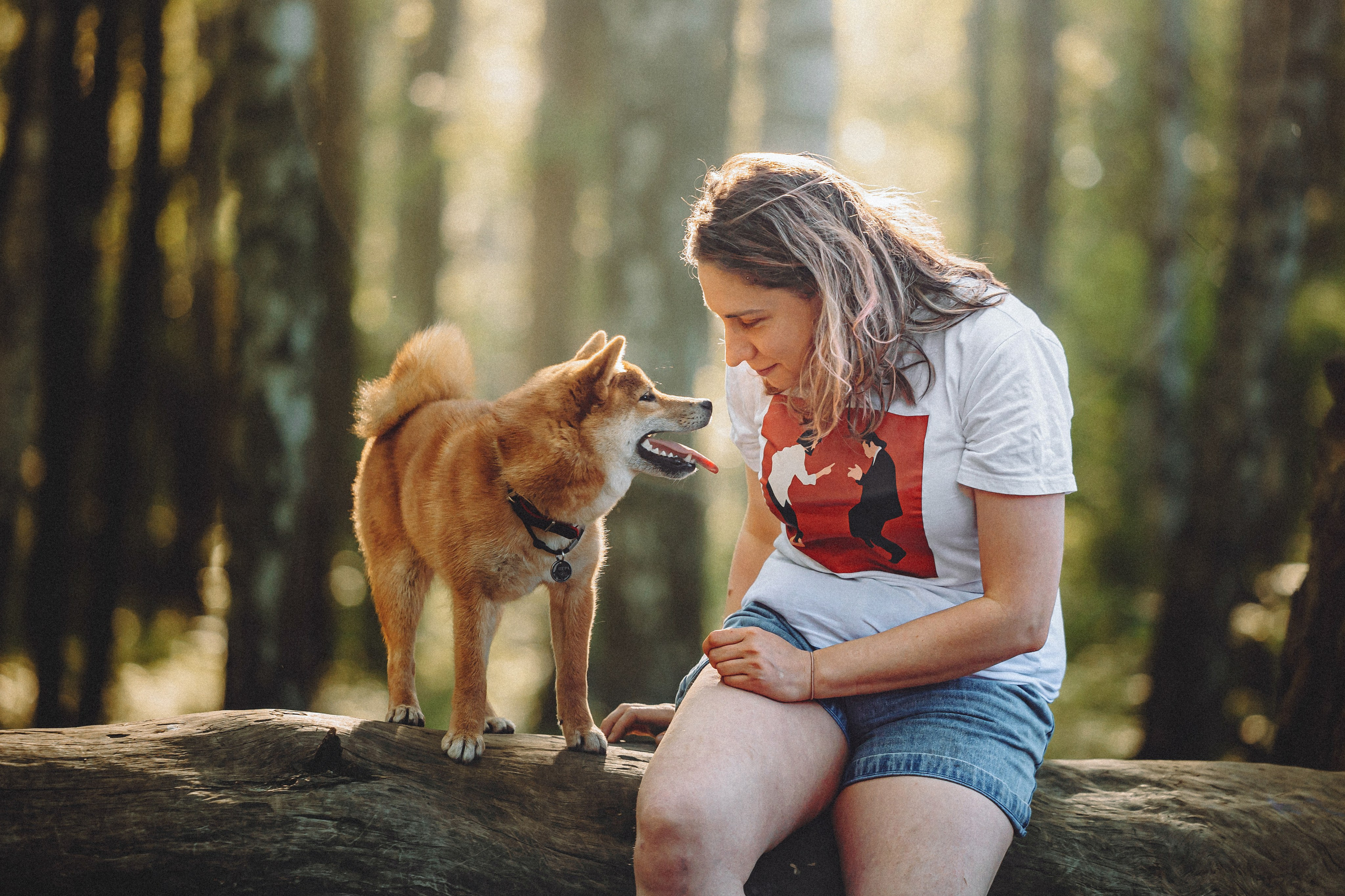 Шед, Цири, Чиби, Цера и их семья