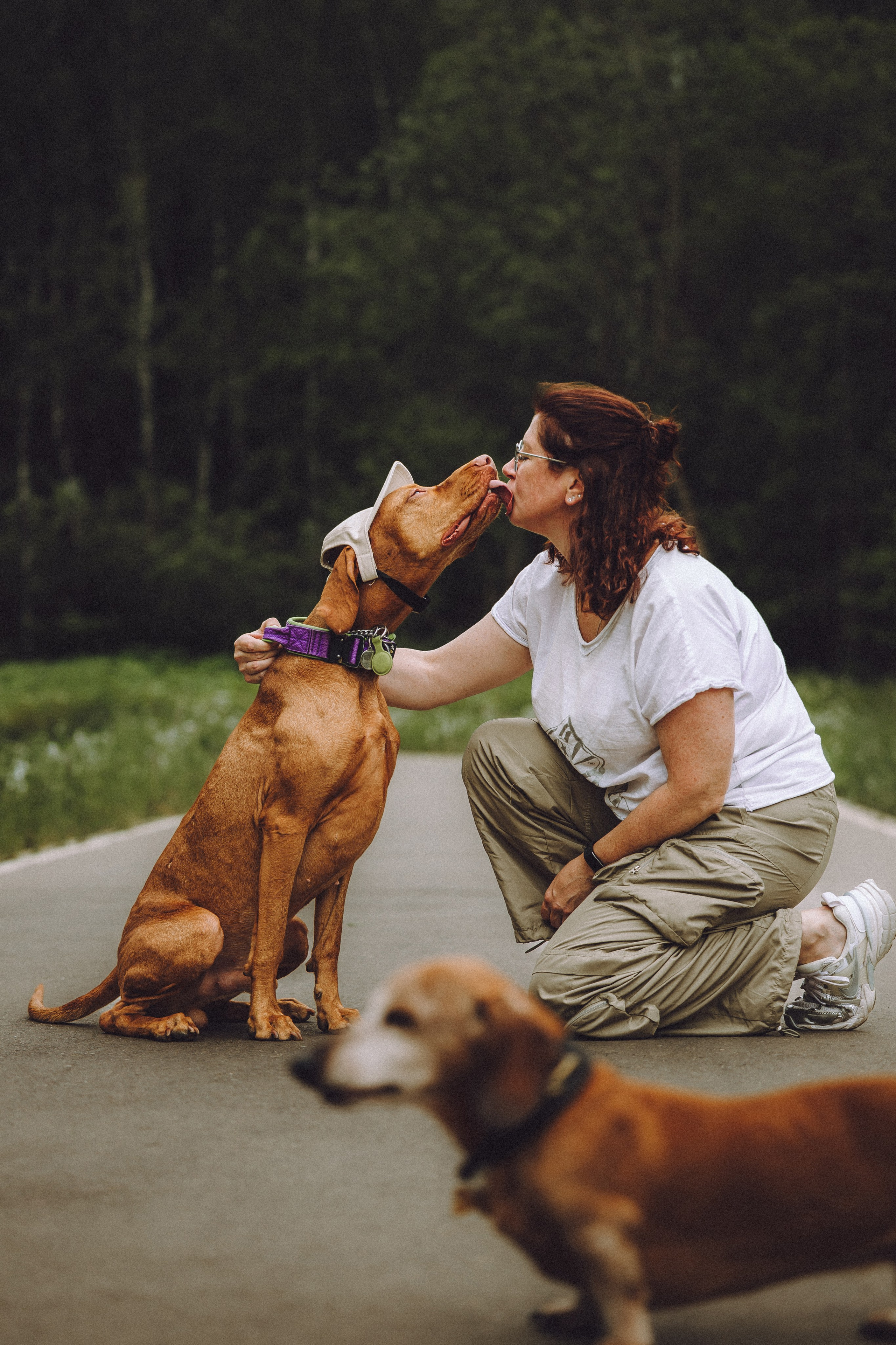 Груша, Данни, Фунтик и их семья