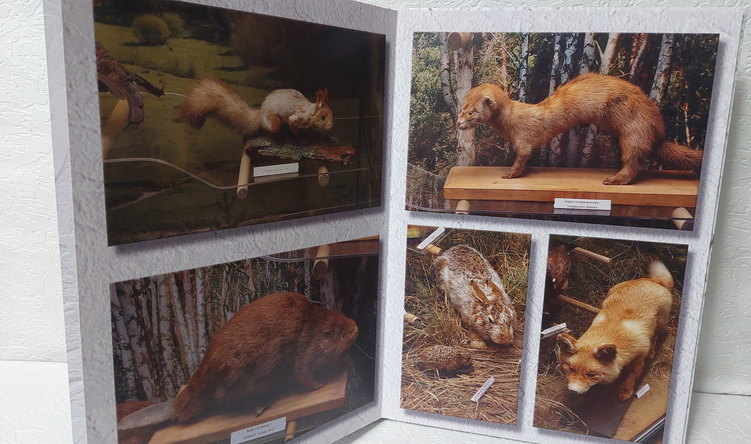 Йошкар-Ола, часть 2. Fotounata.ru