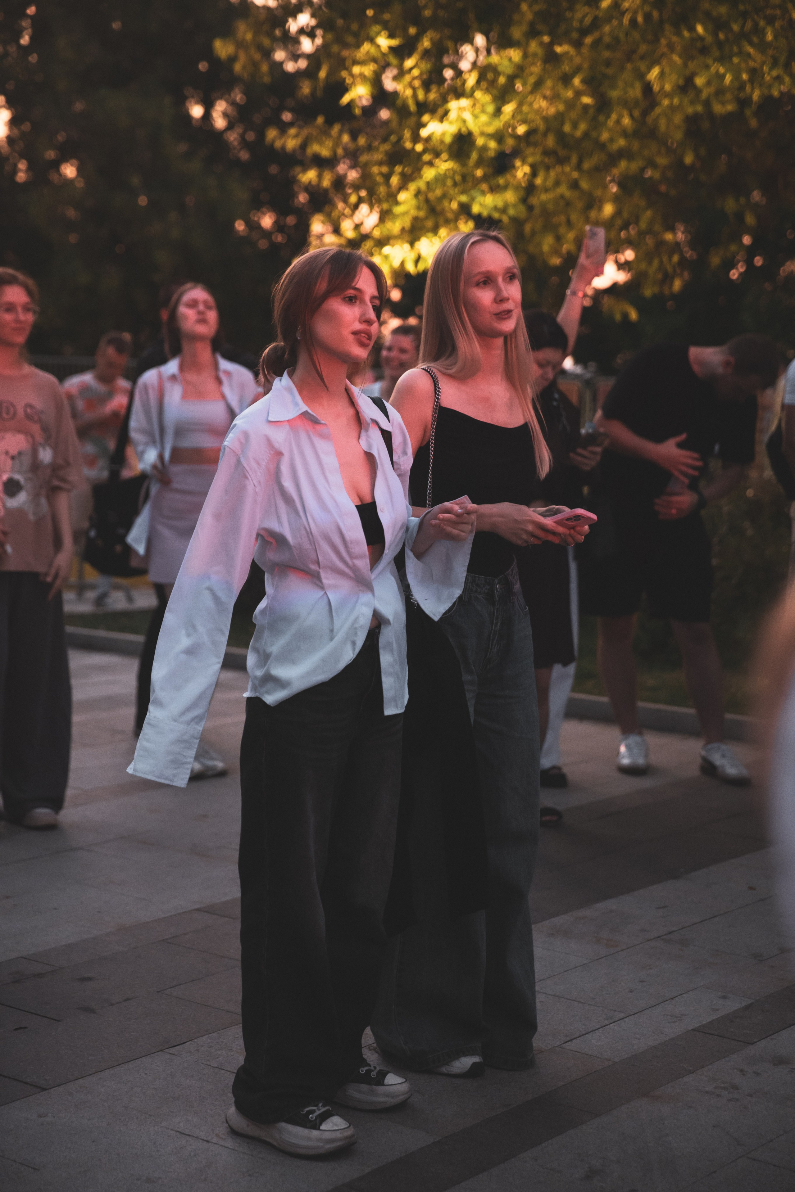 Saluki. Фотограф Нижний Новгород — Дмитрий Грехов