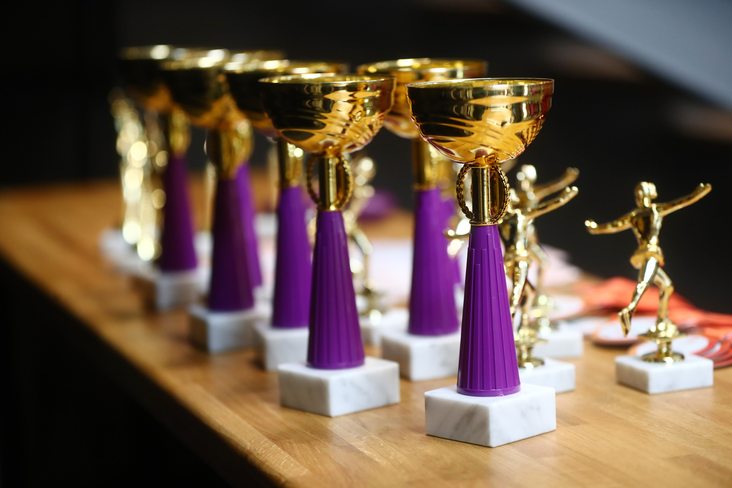 Чемпион — фигурное катание — 2025-12-25 — заказ фото. Фотограф художественная гимнастика, фигурное катание, Москва и область