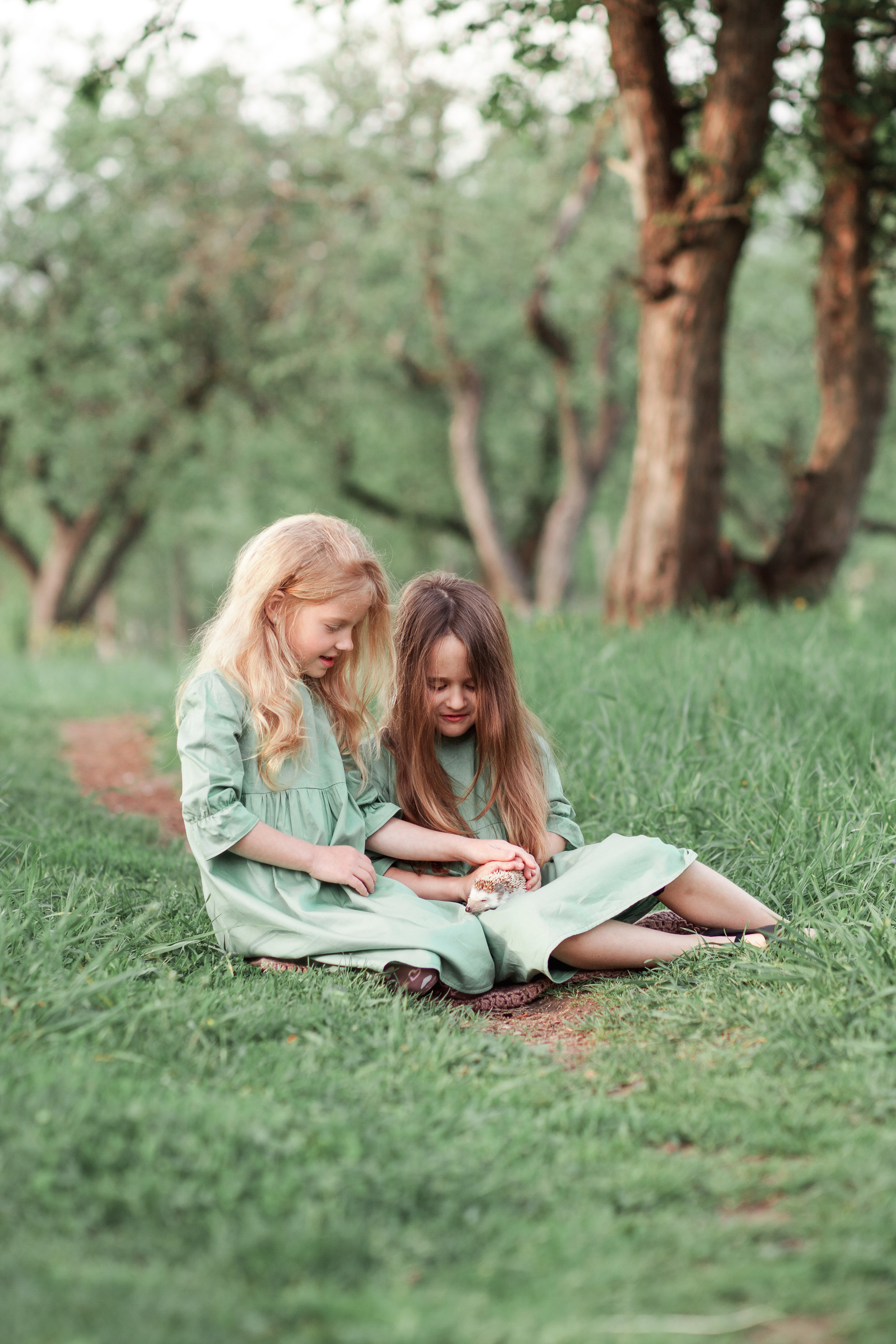 Дружба с ежиком!!!. Фотограф новорожденных в Брянске Анжелика Прохоренкова