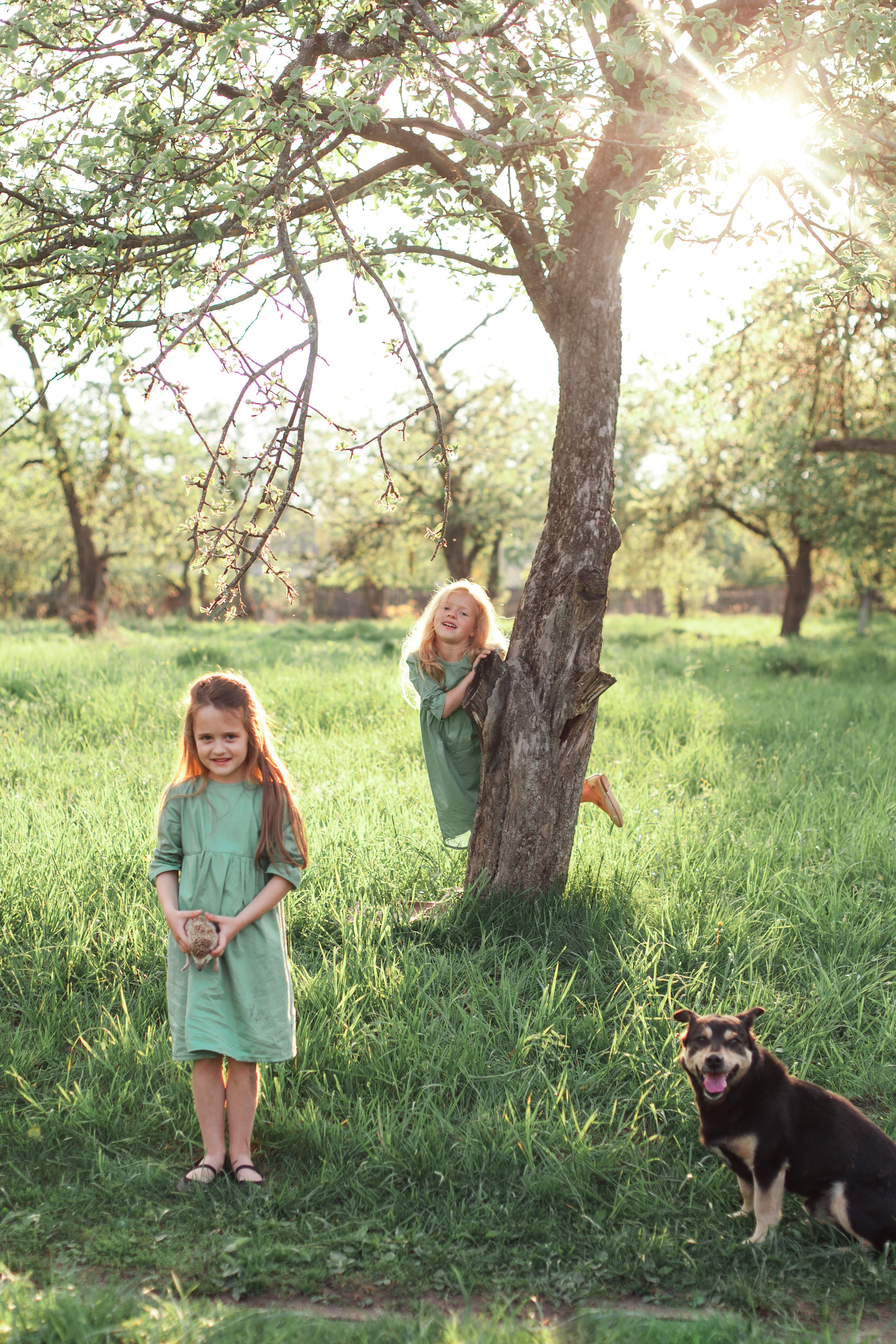 Дружба с ежиком!!!. Фотограф новорожденных в Брянске Анжелика Прохоренкова