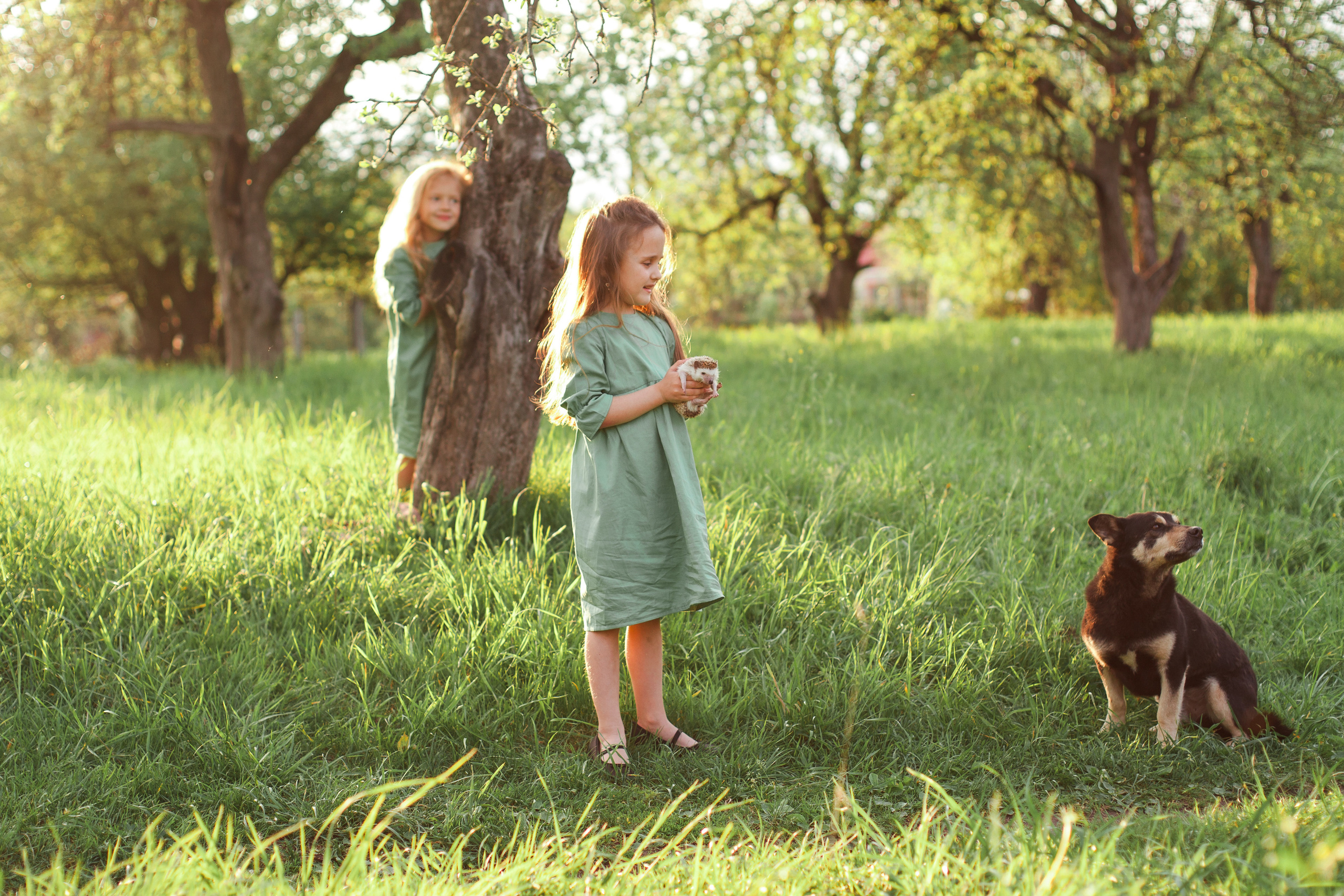 Дружба с ежиком!!!. Фотограф новорожденных в Брянске Анжелика Прохоренкова