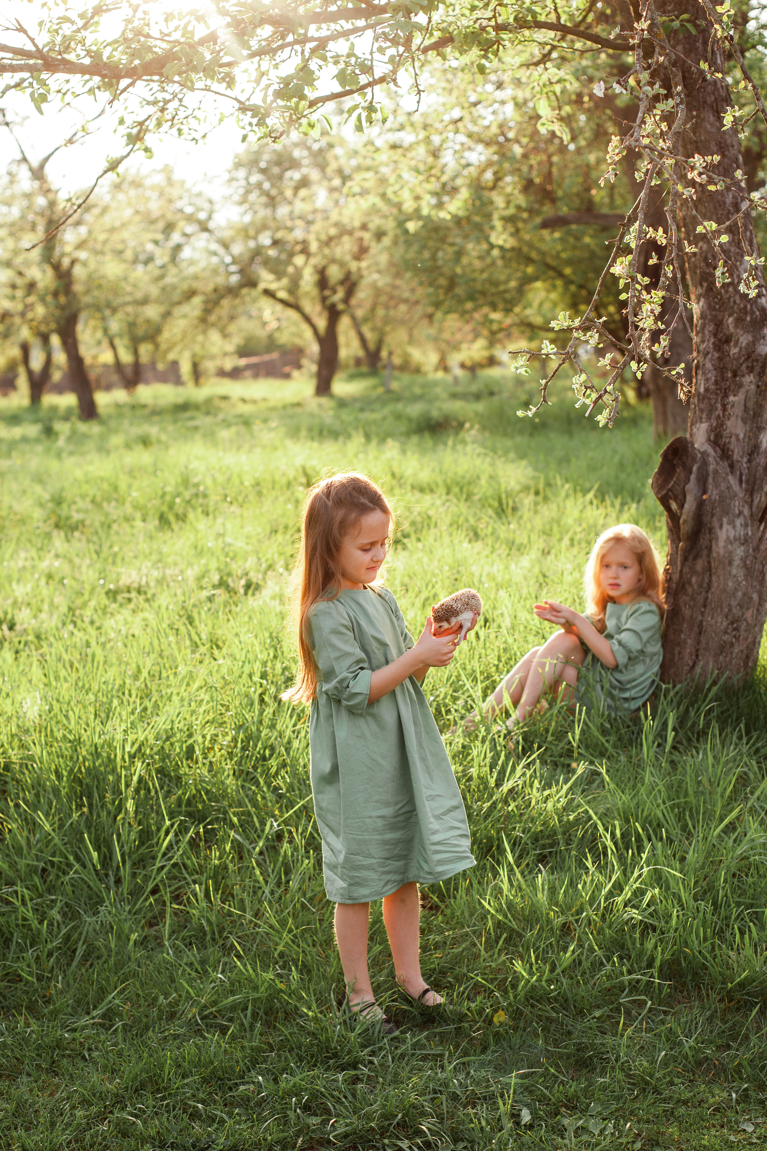 Дружба с ежиком!!!. Фотограф новорожденных в Брянске Анжелика Прохоренкова